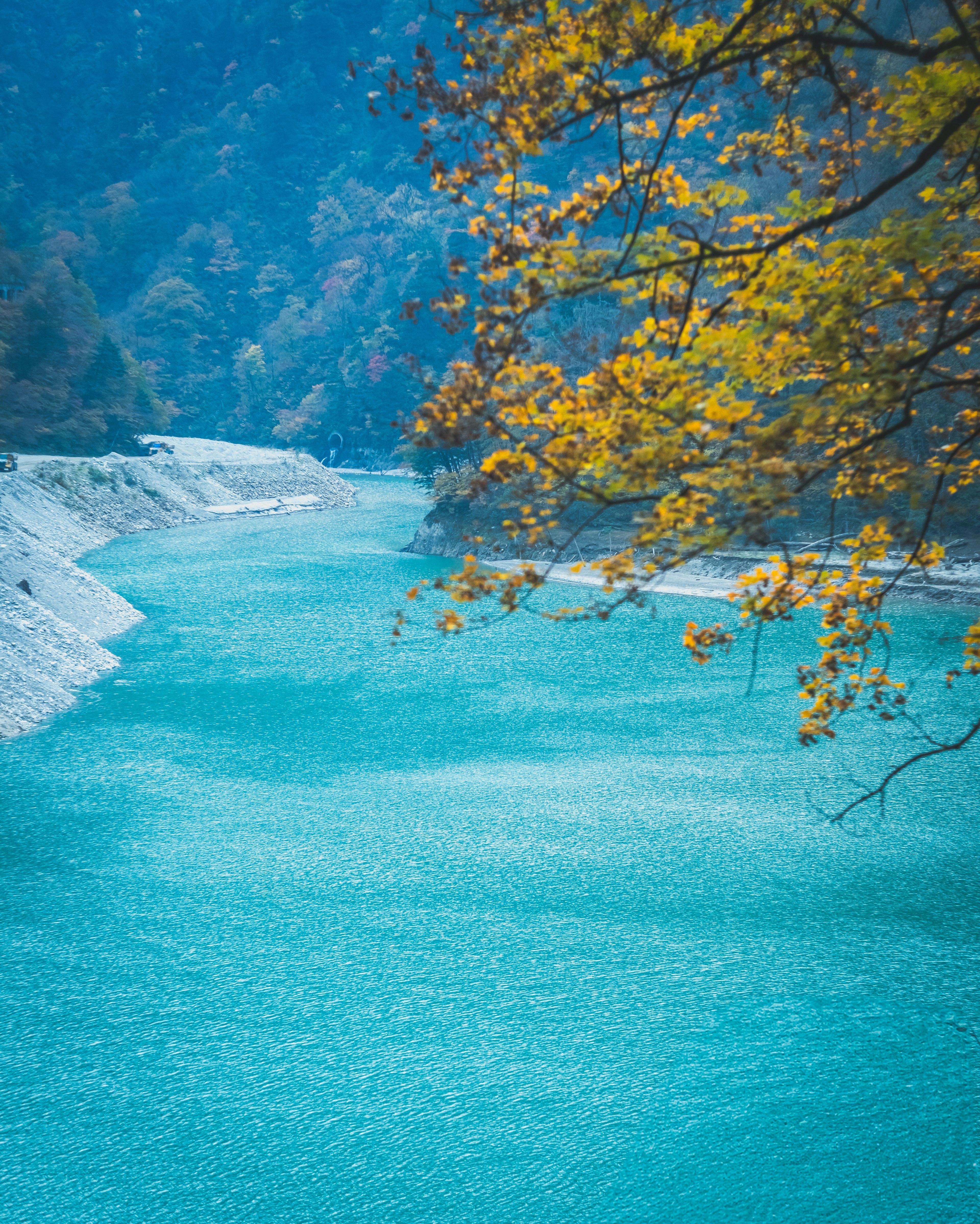 Vista escénica de un río turquesa con hojas de otoño