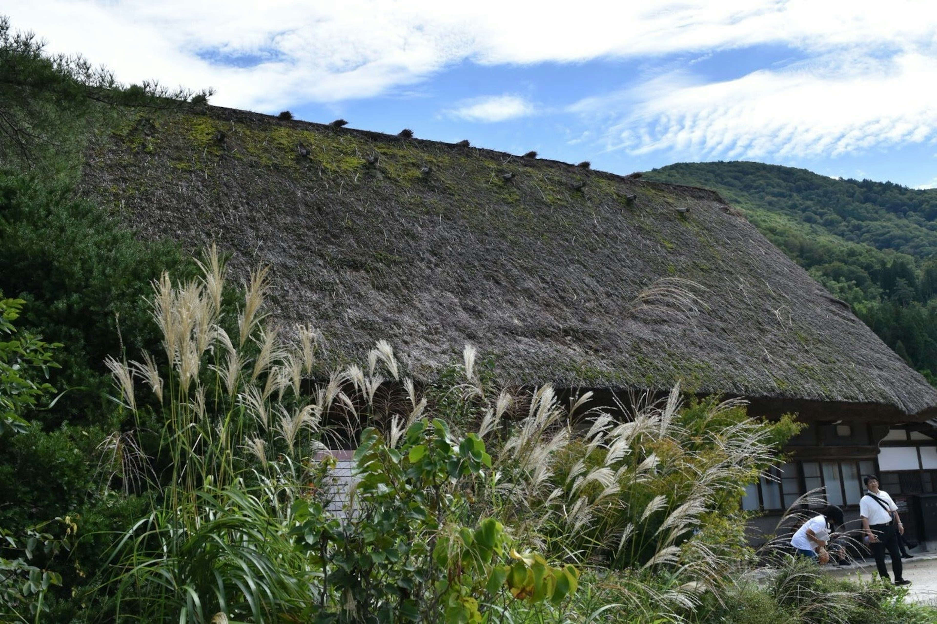 Traditional Japanese house with thatched roof surrounded by lush greenery