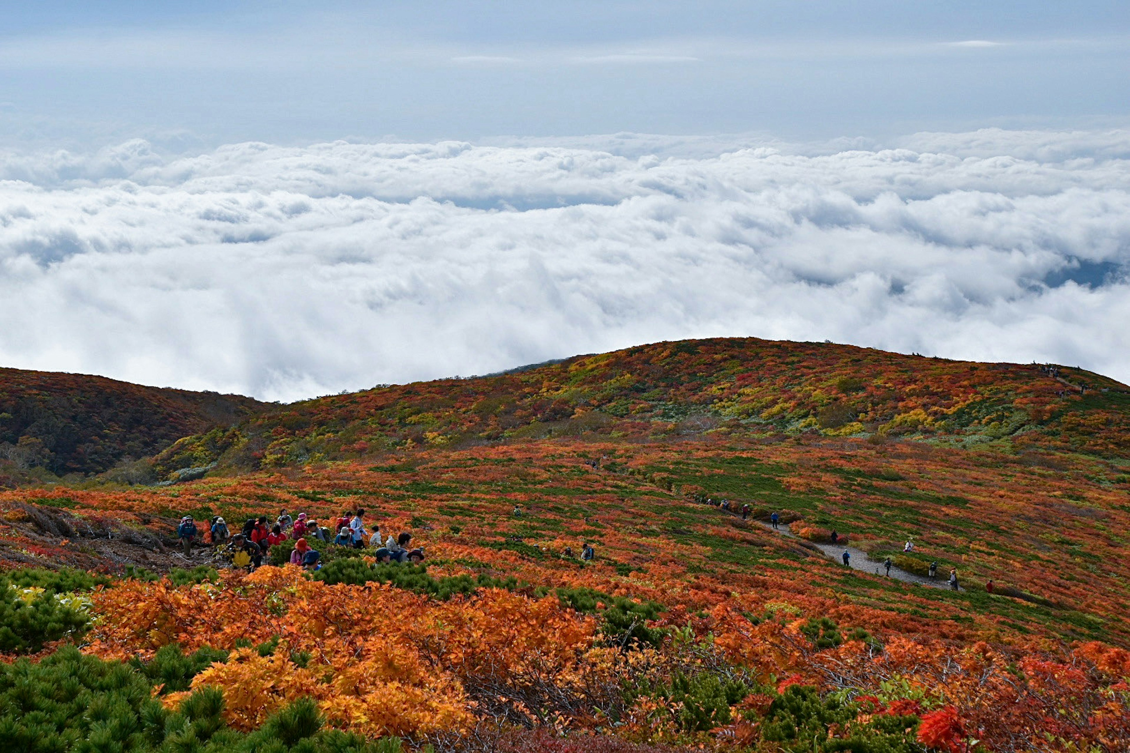 雲海を背景にした秋の山々のパノラマ風景と色とりどりの紅葉