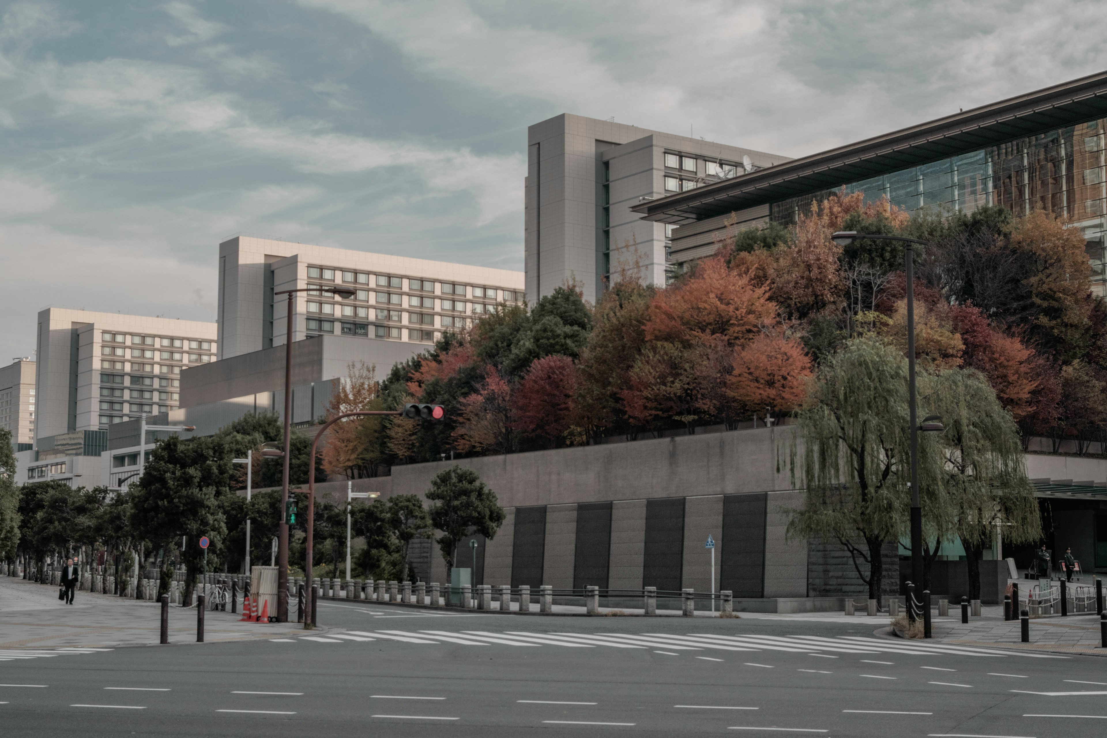 Paysage urbain avec des arbres colorés et des bâtiments modernes