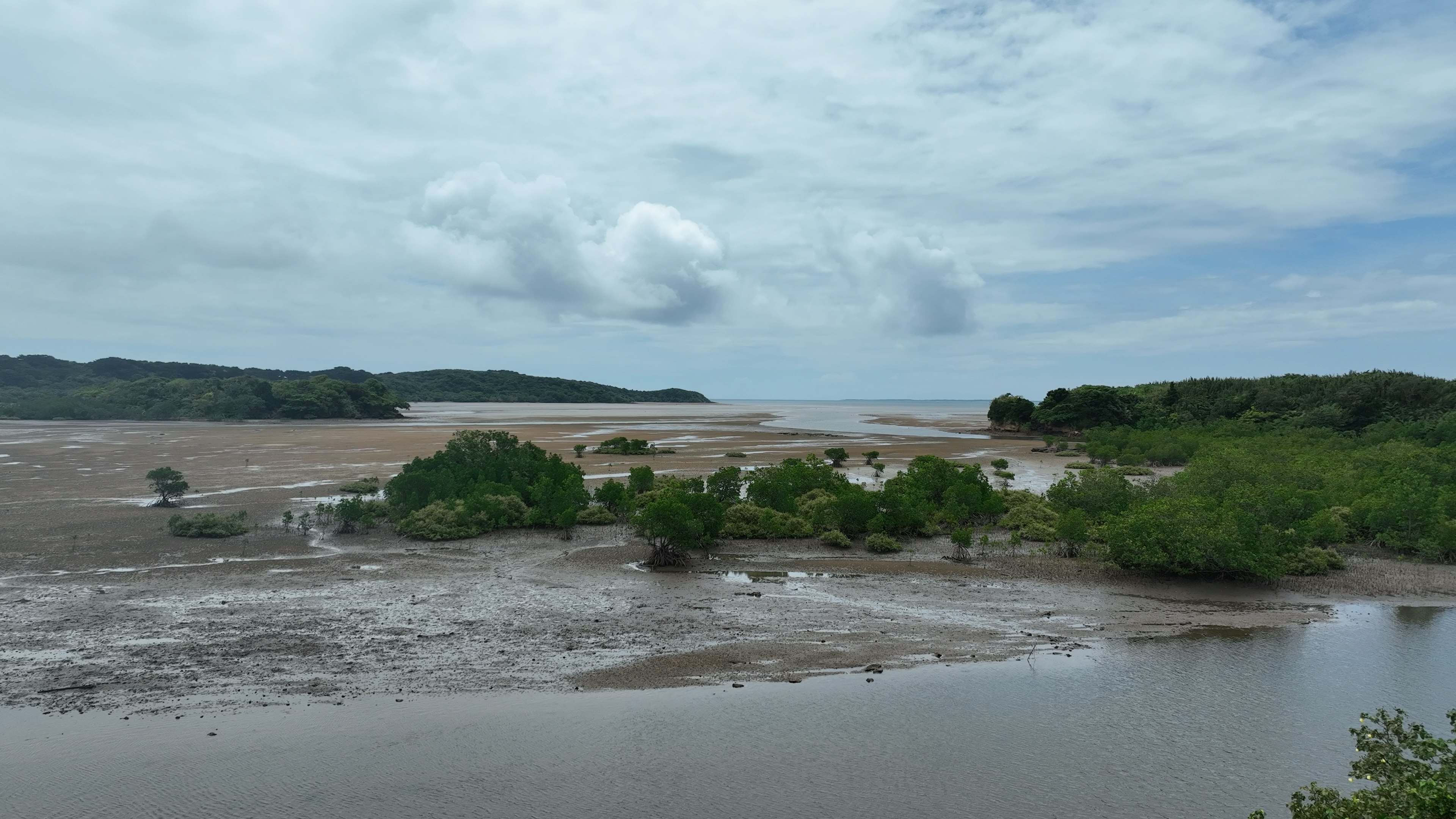 Vista escénica de una costa y llanuras intermareales con vegetación verde y cielo azul