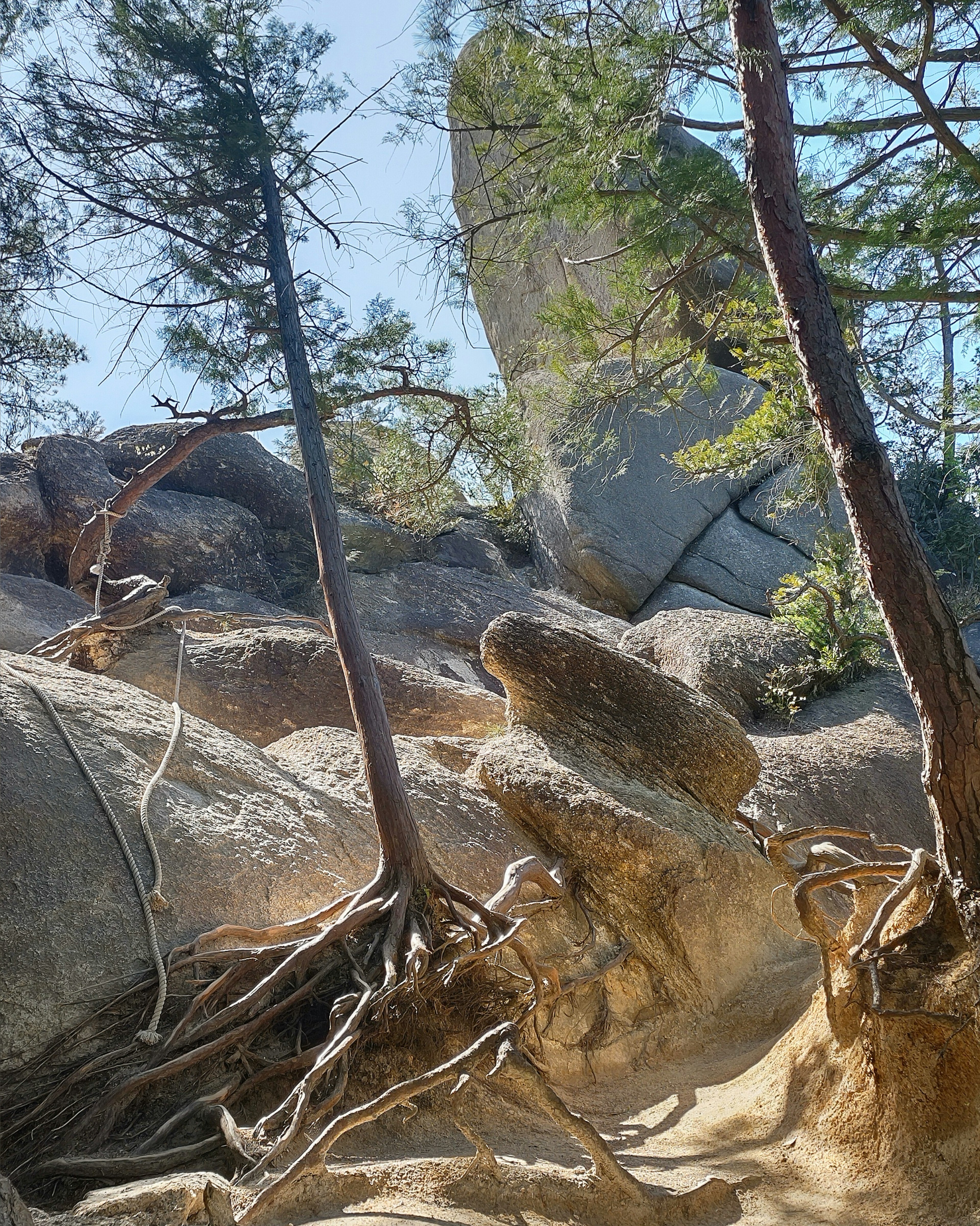 Landscape of rocks and trees under a clear blue sky