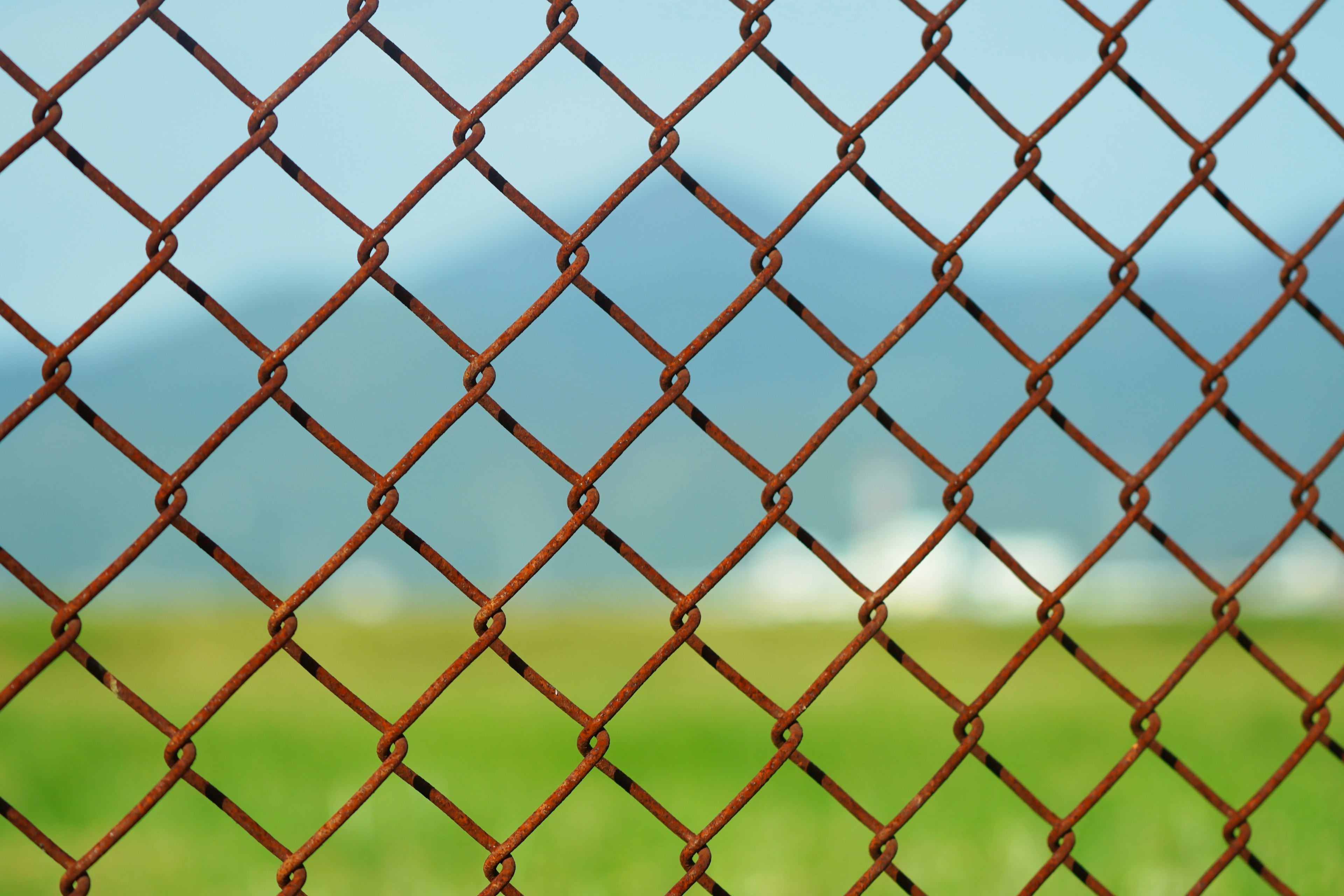 Rusty chain-link fence with a blurred mountain and green grass in the background