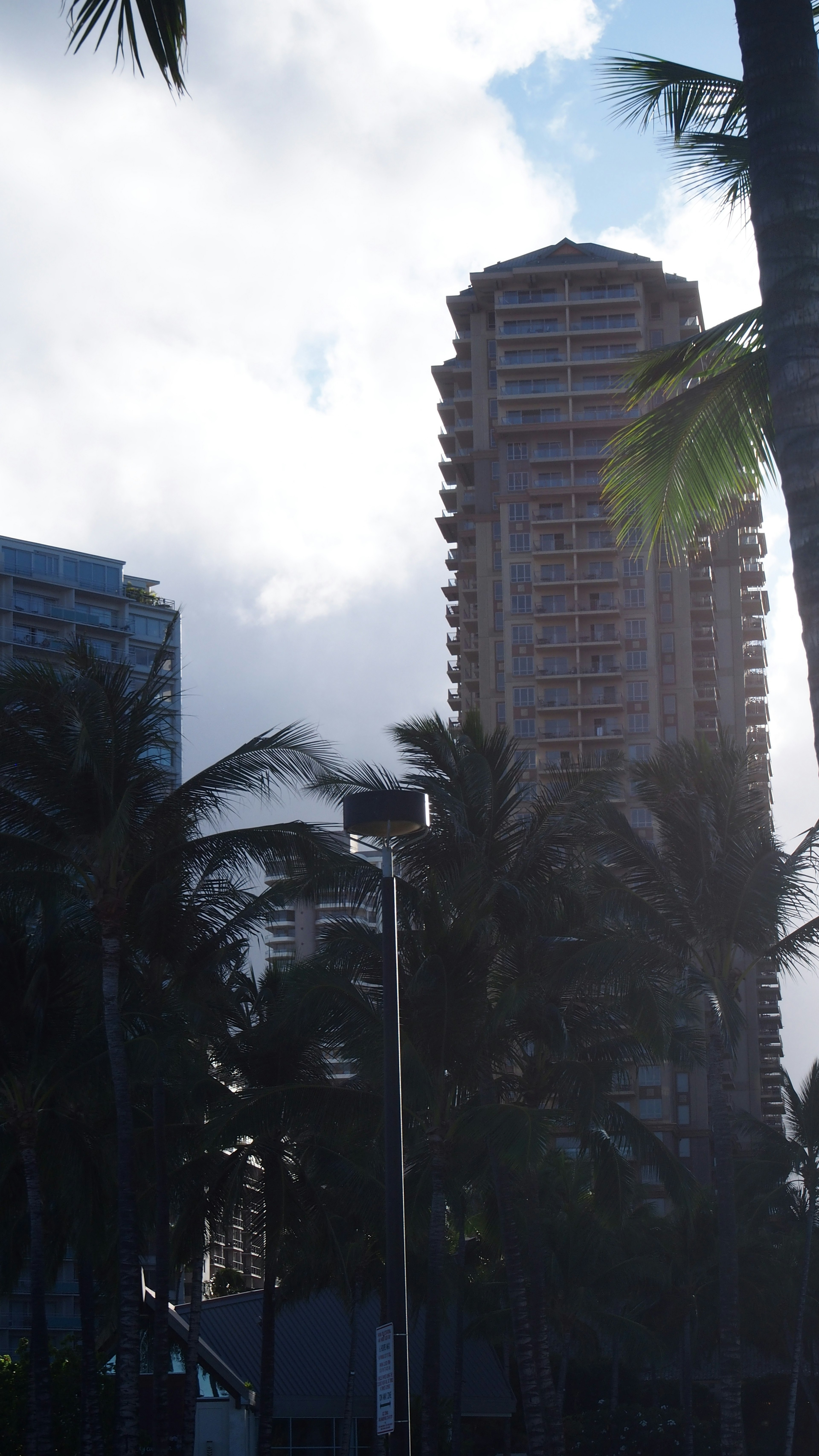 A tall building surrounded by palm trees under a cloudy sky