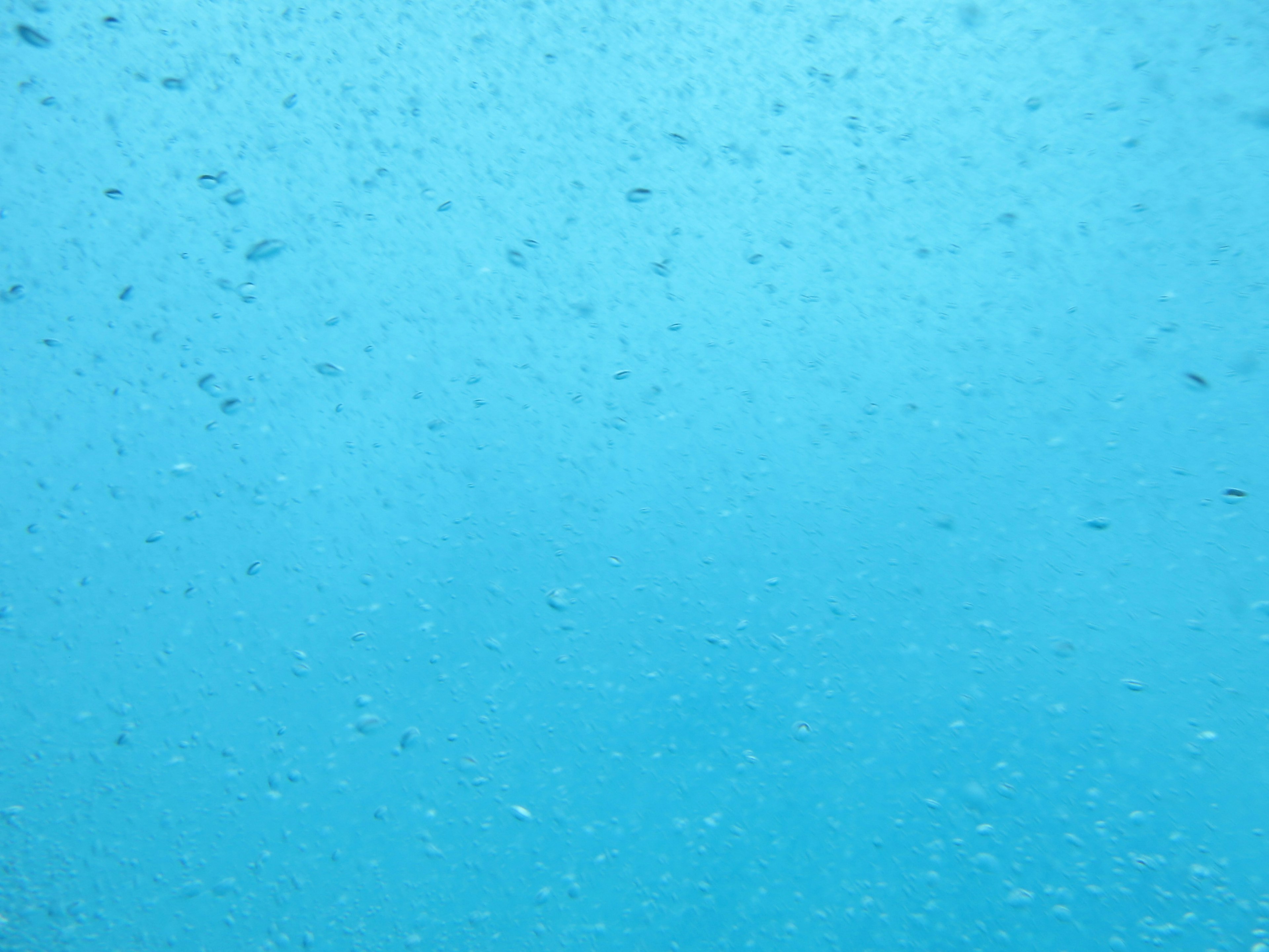 Underwater scene with blue tones and floating bubbles