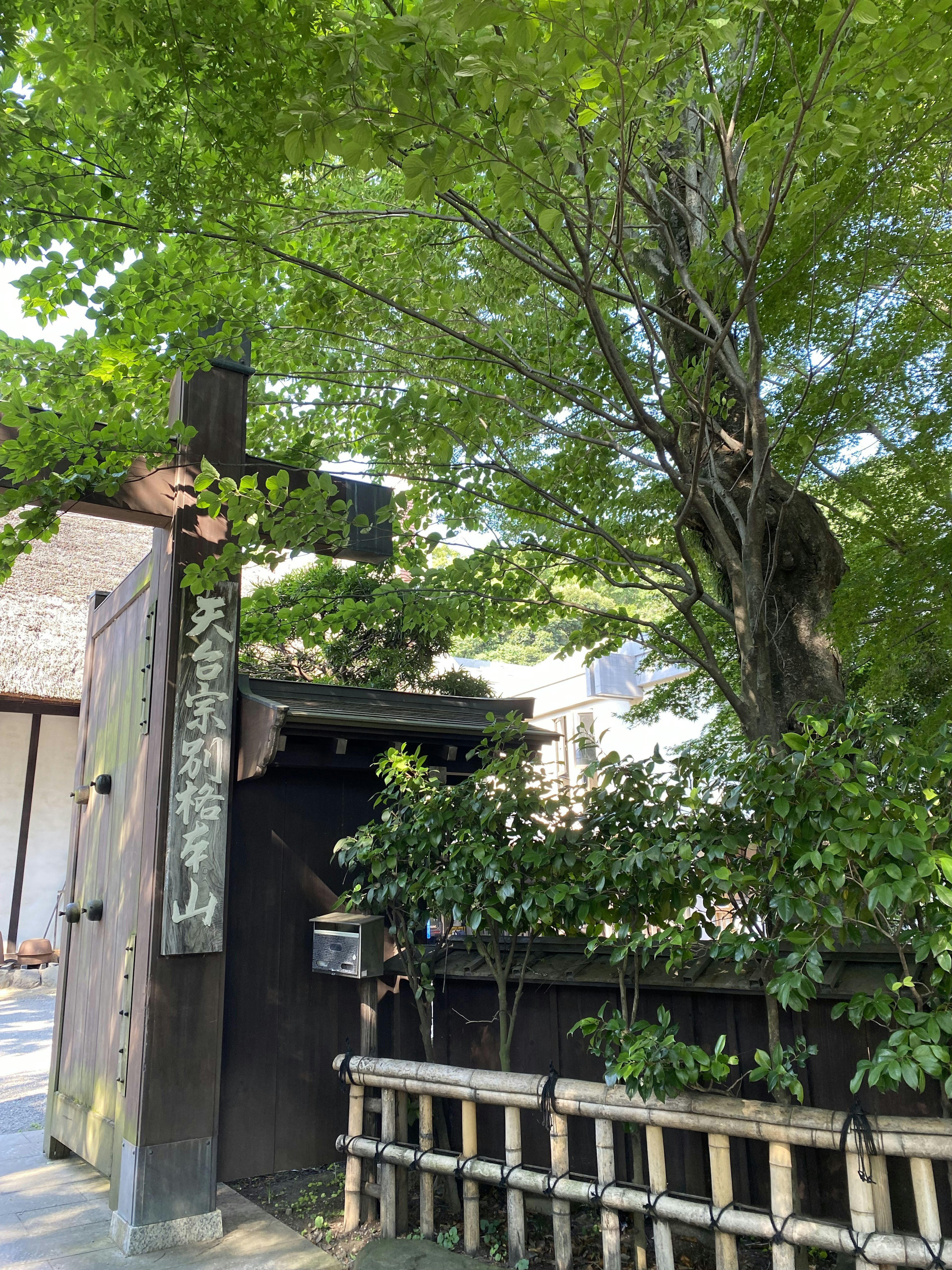 Old wooden gate surrounded by green trees and bamboo fence