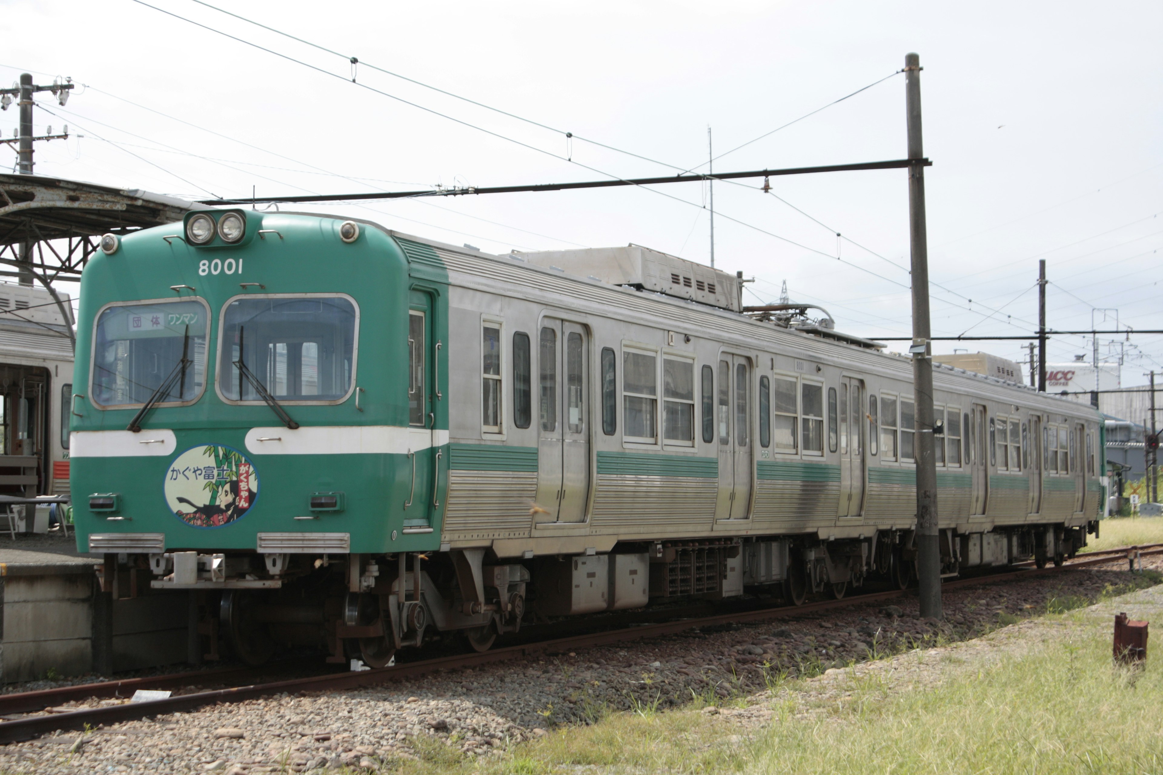 Tren verde estacionado en la estación