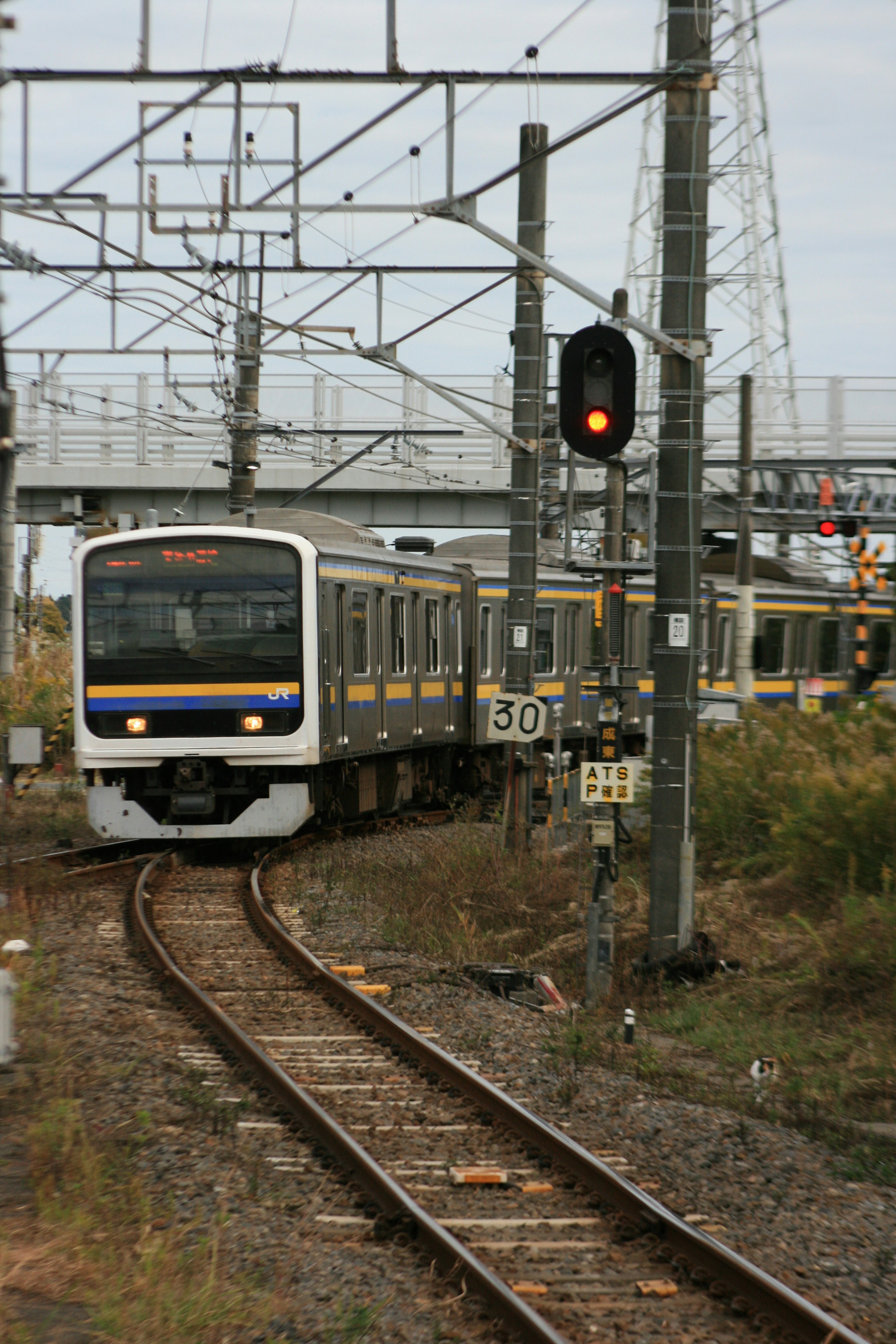 Tren acercándose a una señal con vías y cables aéreos