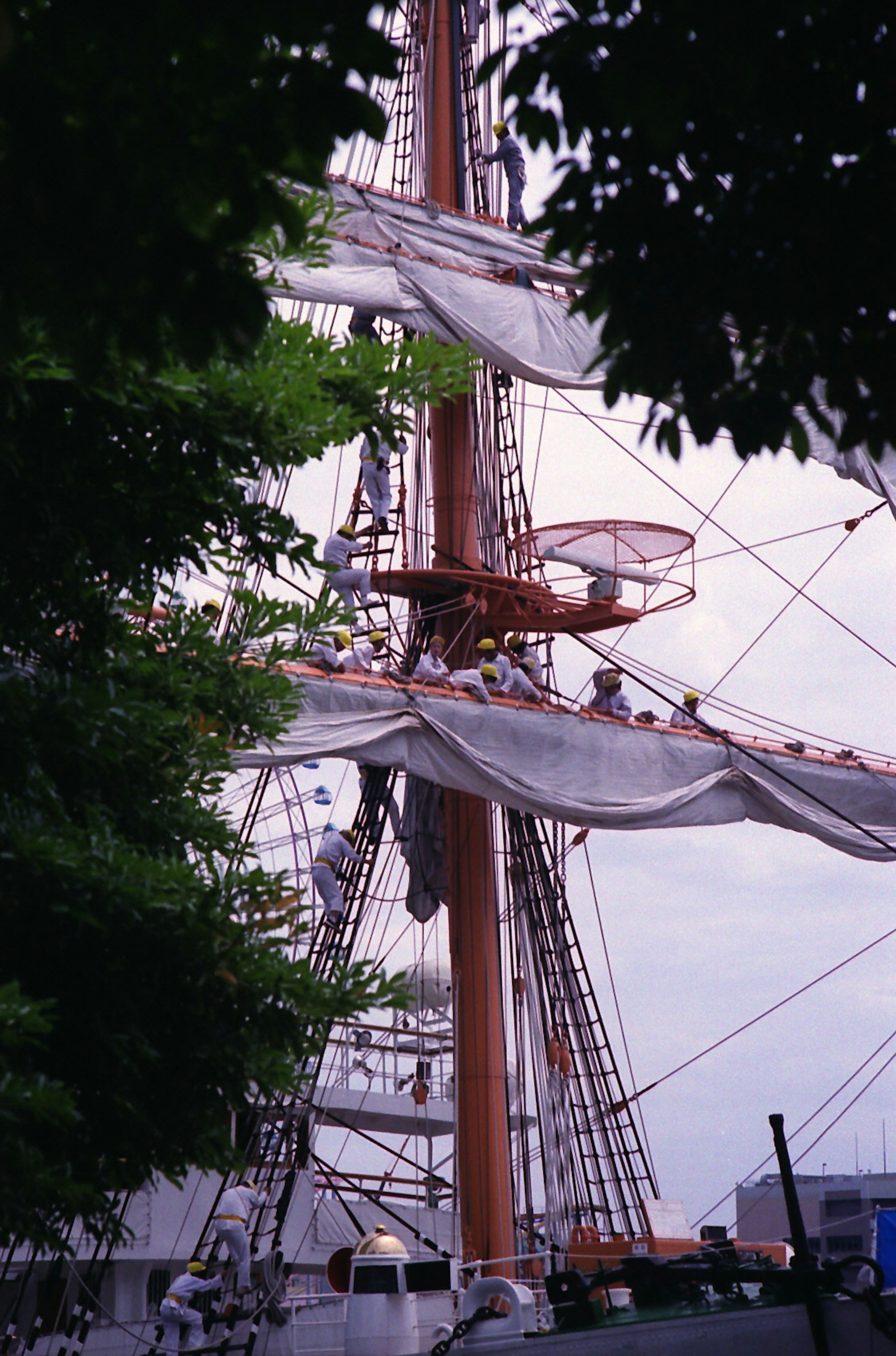 Image of a large sailing ship with visible mast and sails Crew members managing the sails surrounded by green leaves