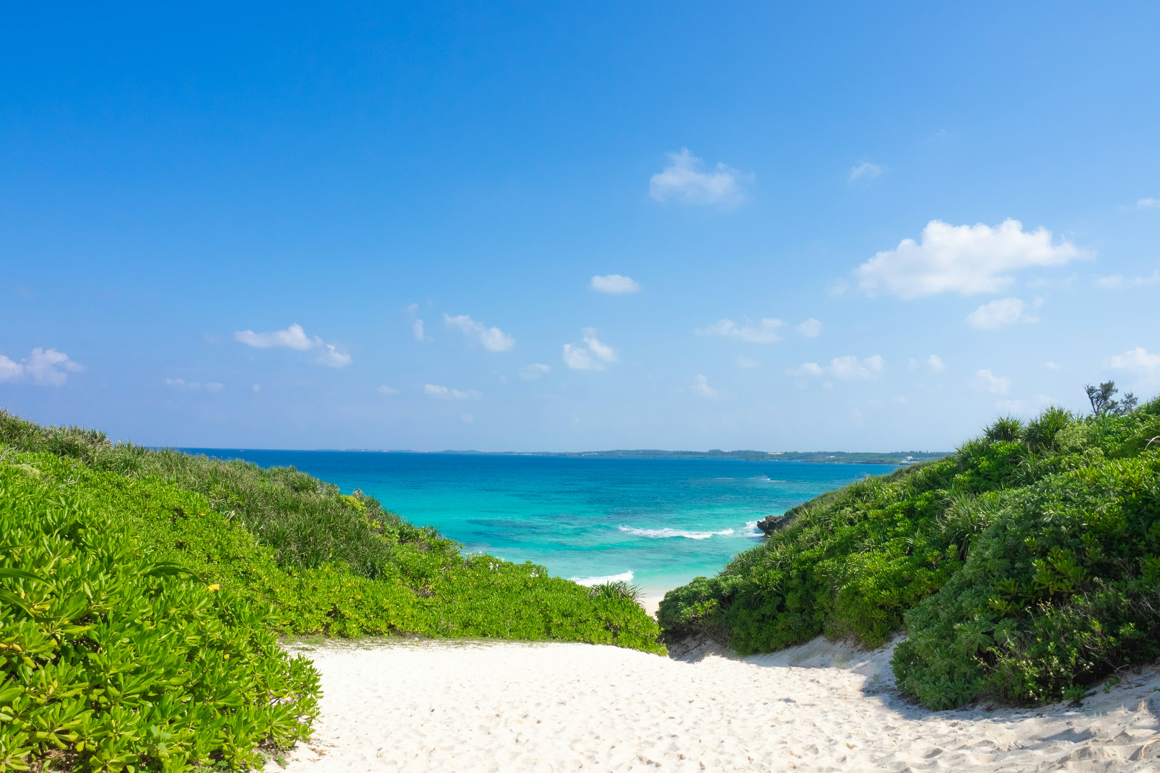 Vista escénica de una playa con arena blanca y agua turquesa bajo un cielo azul claro