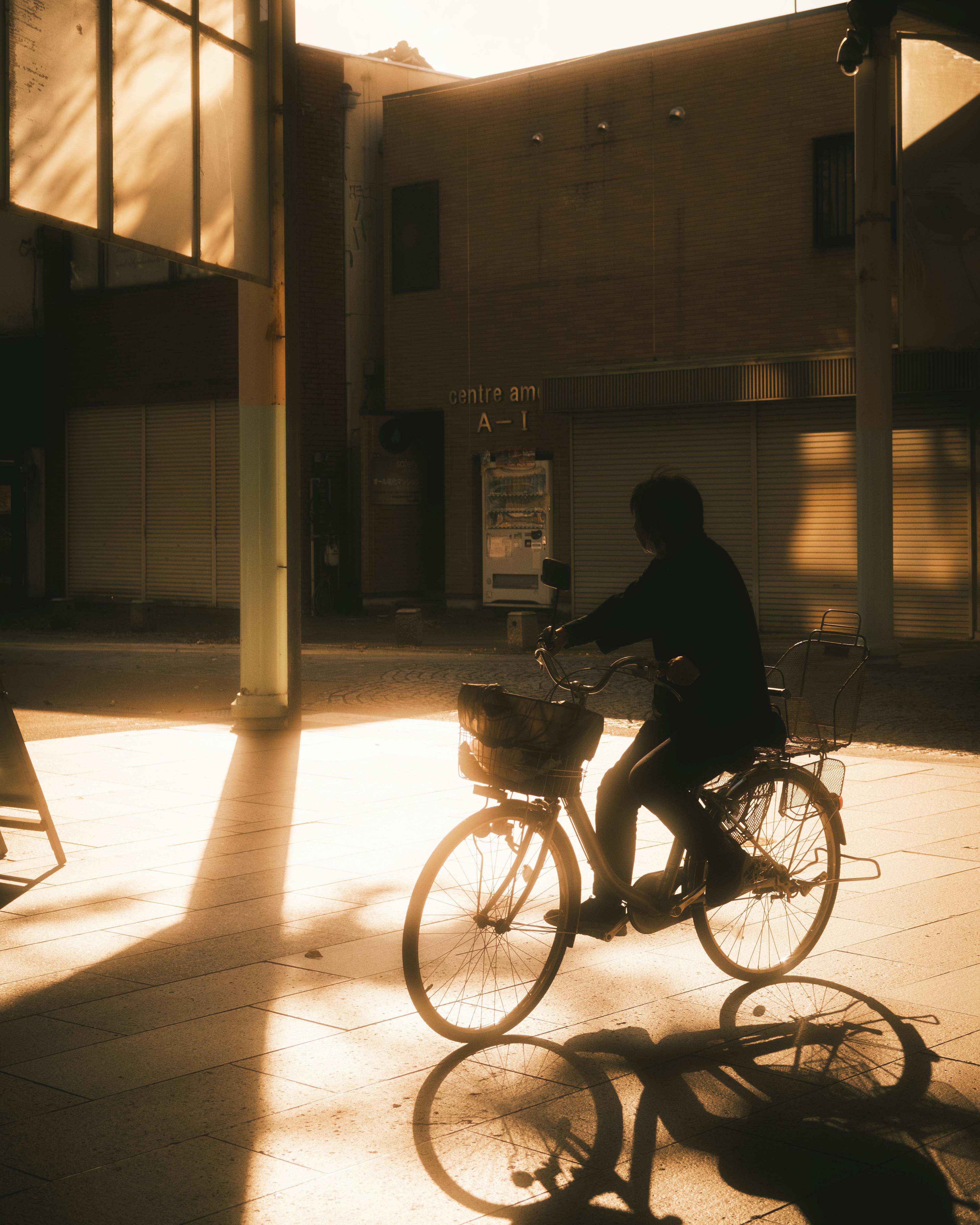 自転車に乗る人物が夕日を背にしている風景