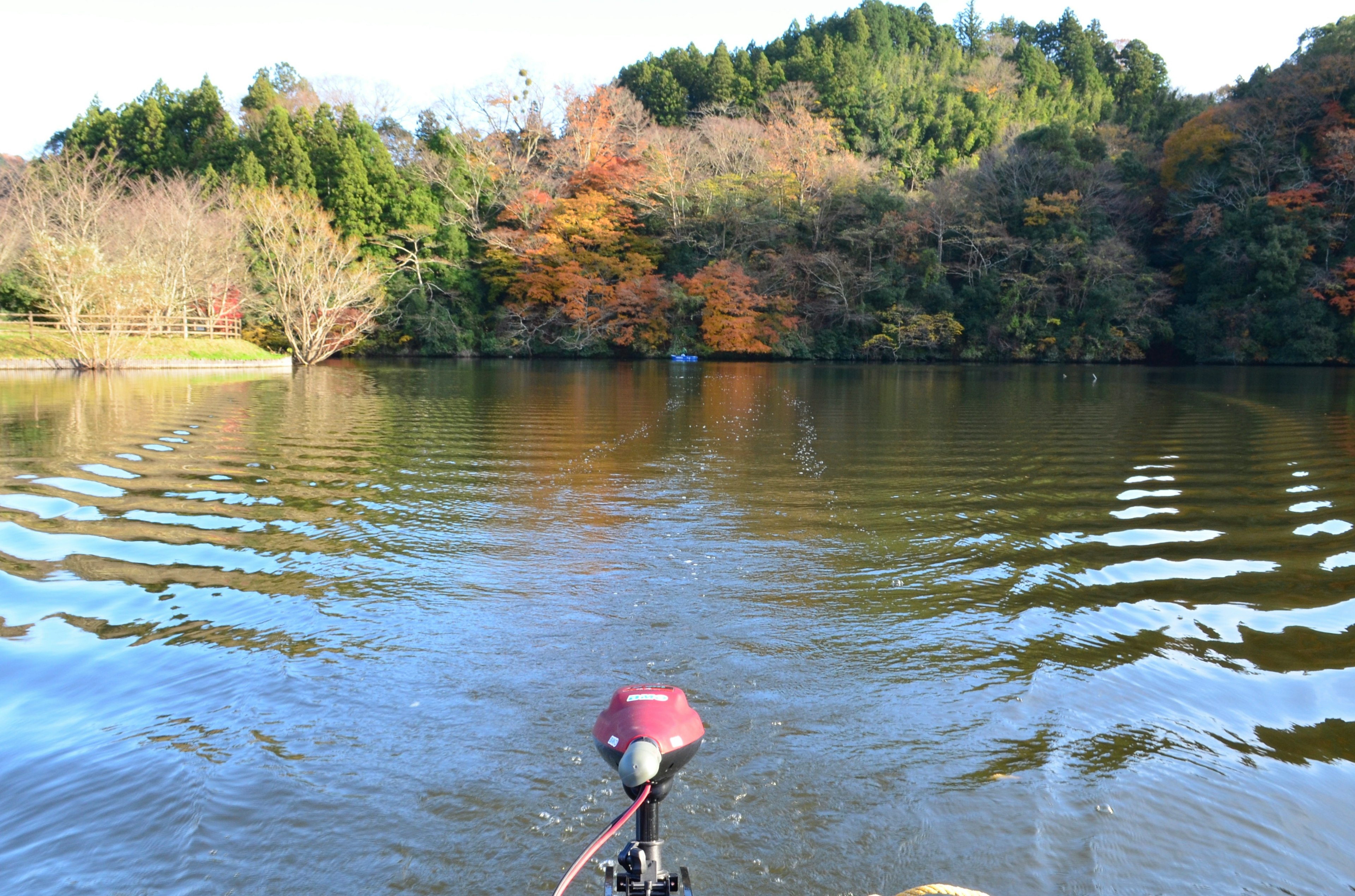 Vue depuis un bateau sur un lac, arbres aux couleurs d'automne, surface d'eau calme