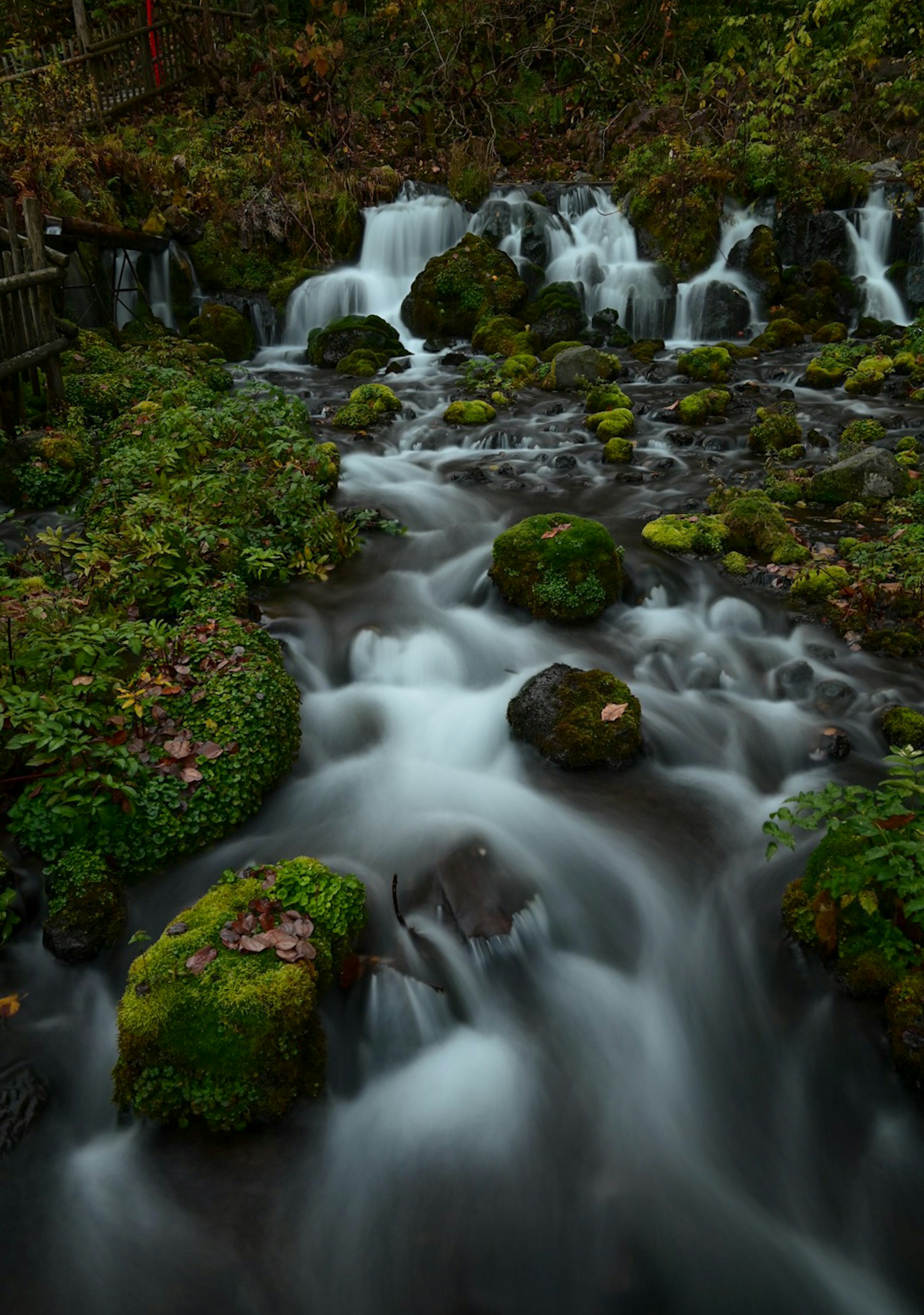 緑の苔が生えた岩の間を流れる滑らかな水の流れと小さな滝が特徴の風景