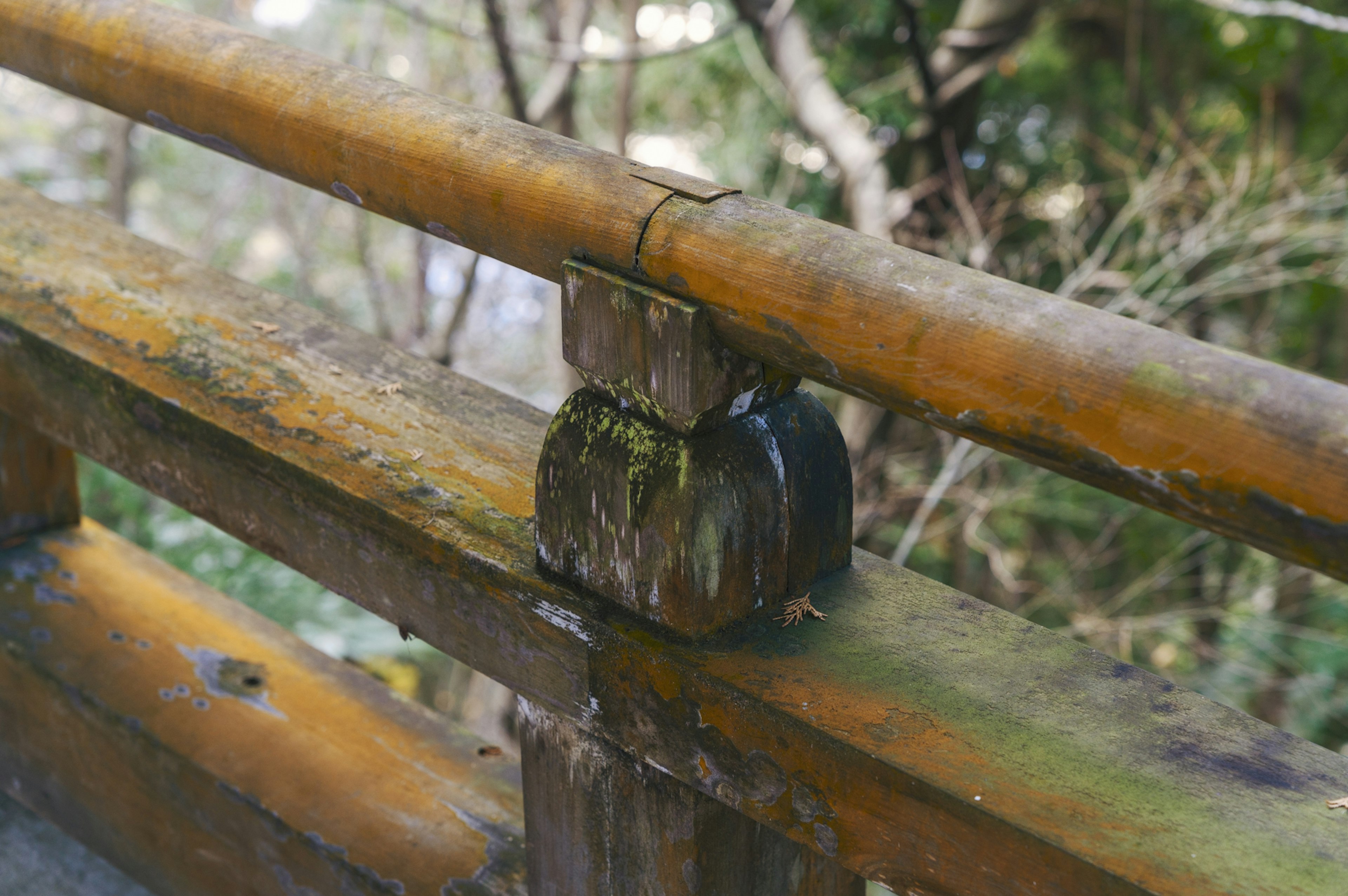 木製の手すりの接続部分に苔が生えている