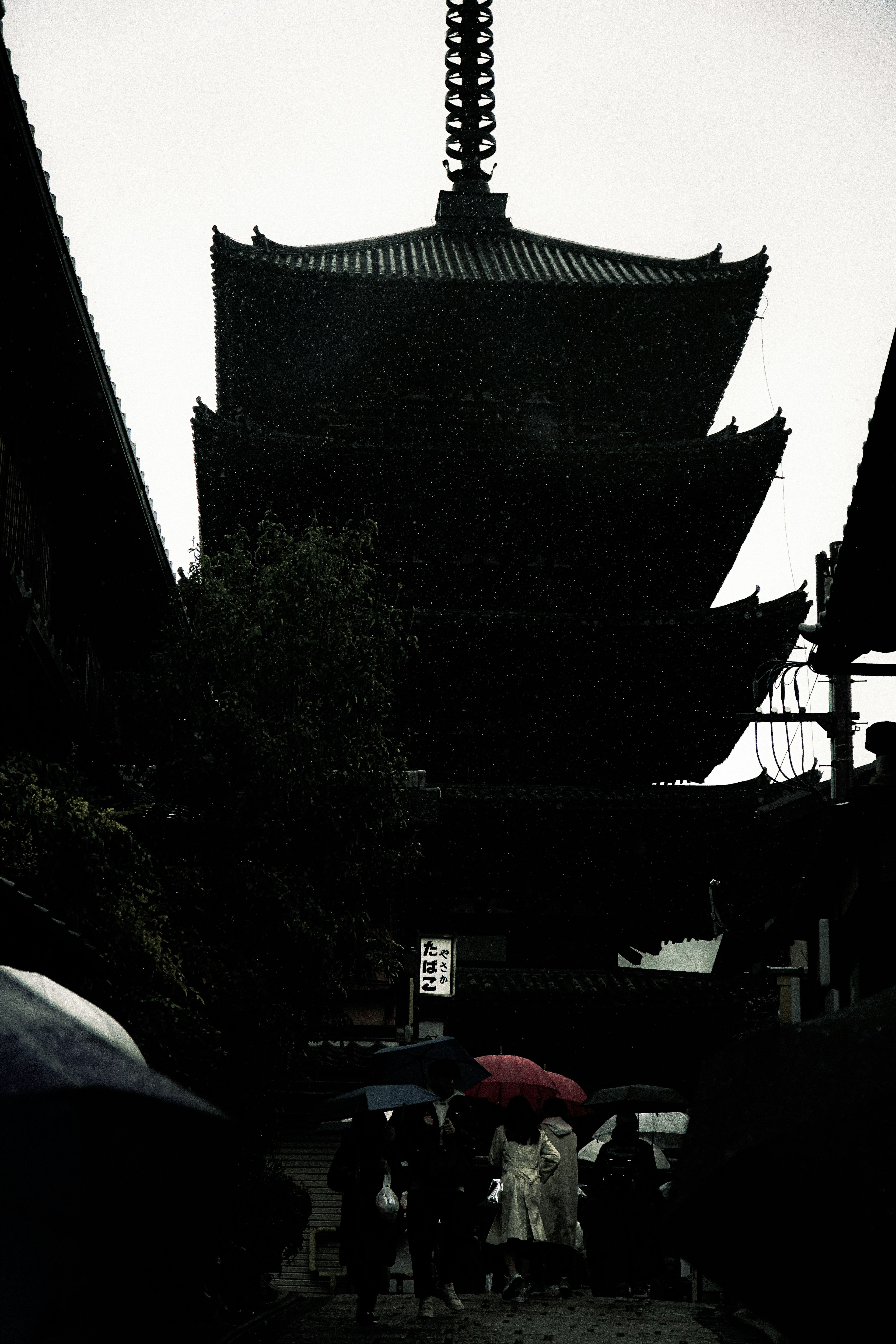 雨の中の五重塔と傘を持った人々