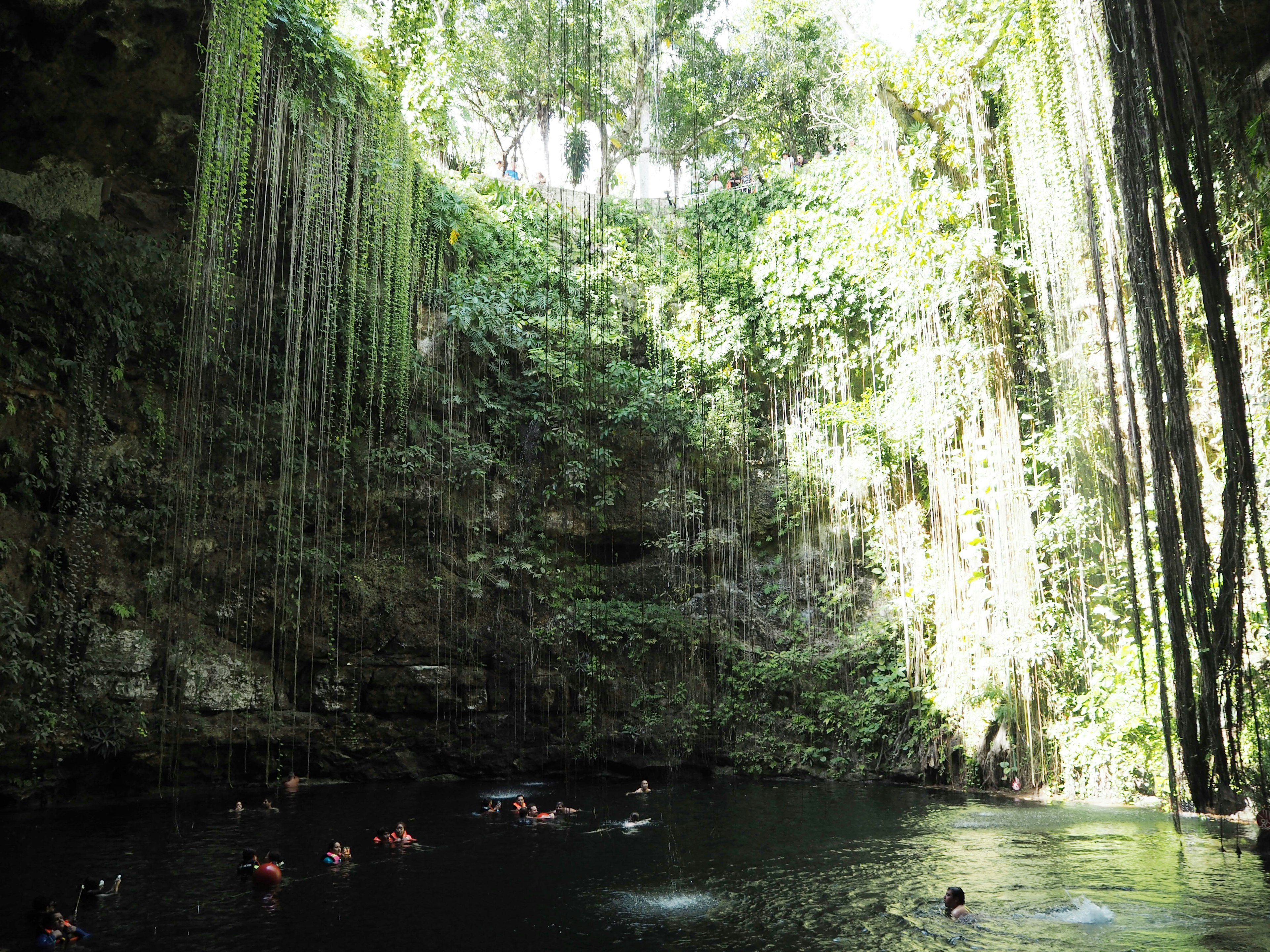 Vista escénica de un cenote natural con vides verdes y nadadores en el agua