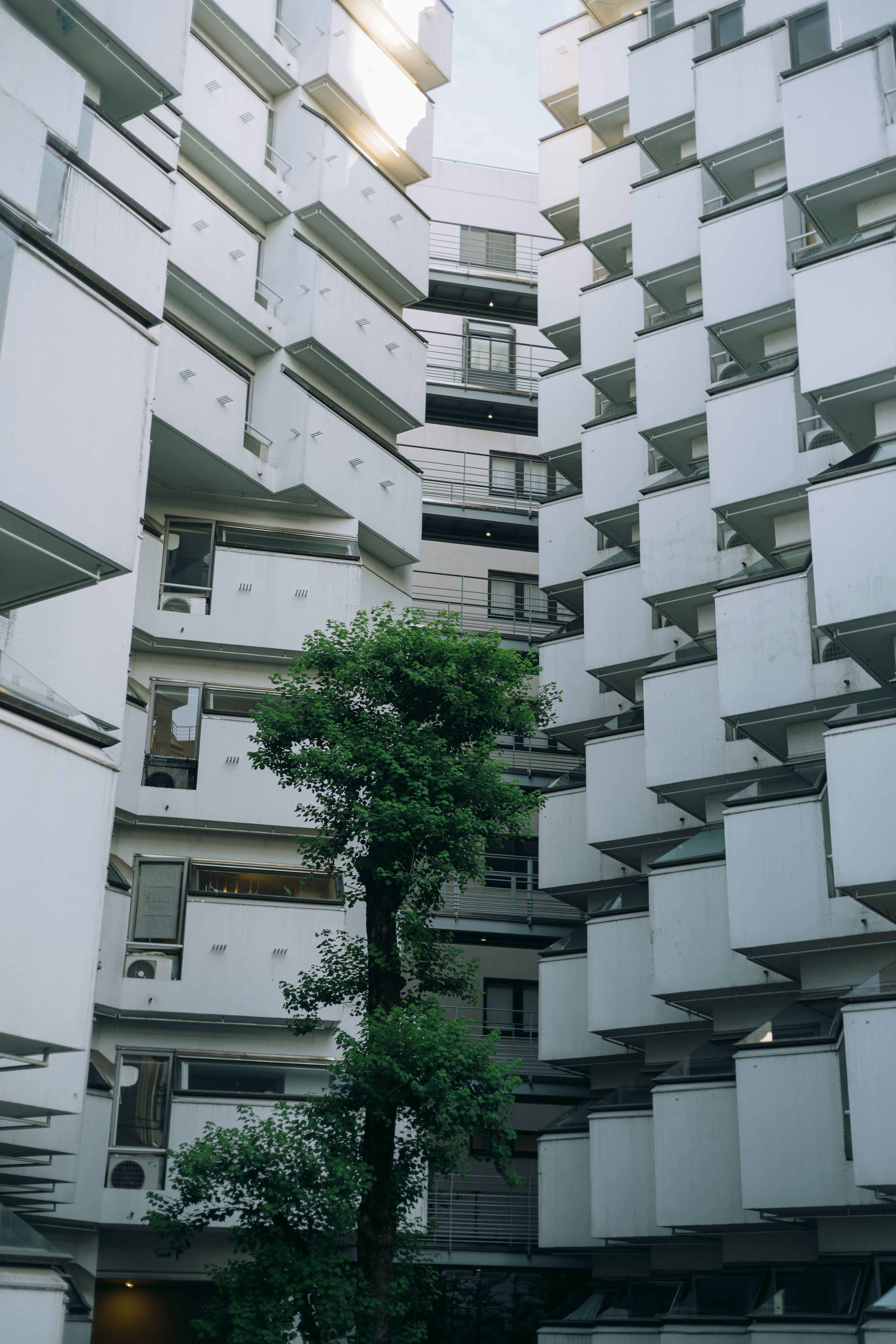 Árbol verde en un patio rodeado de balcones blancos geométricos