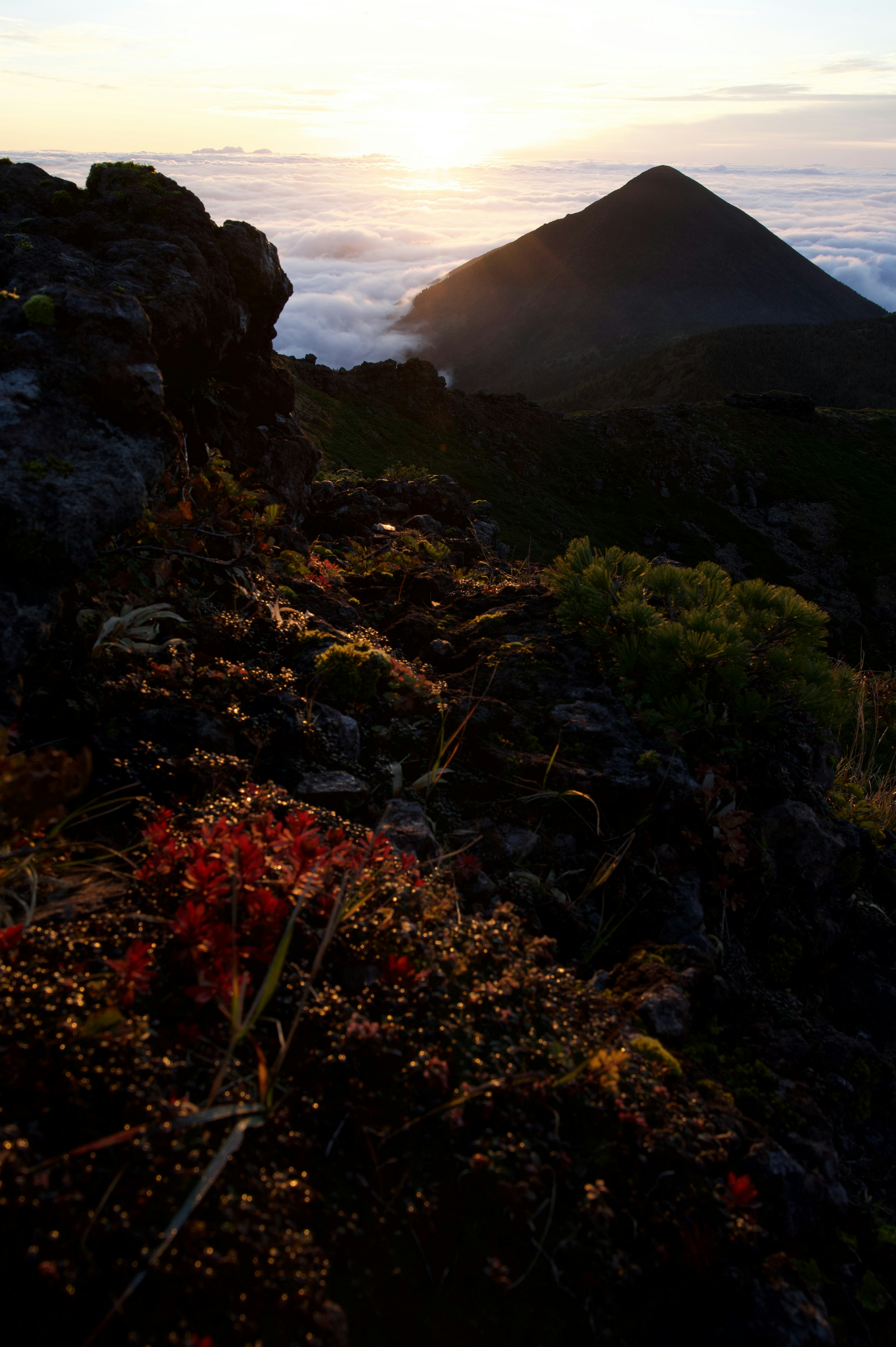 Berglandschaft bei Sonnenuntergang mit roten Blumen im Vordergrund