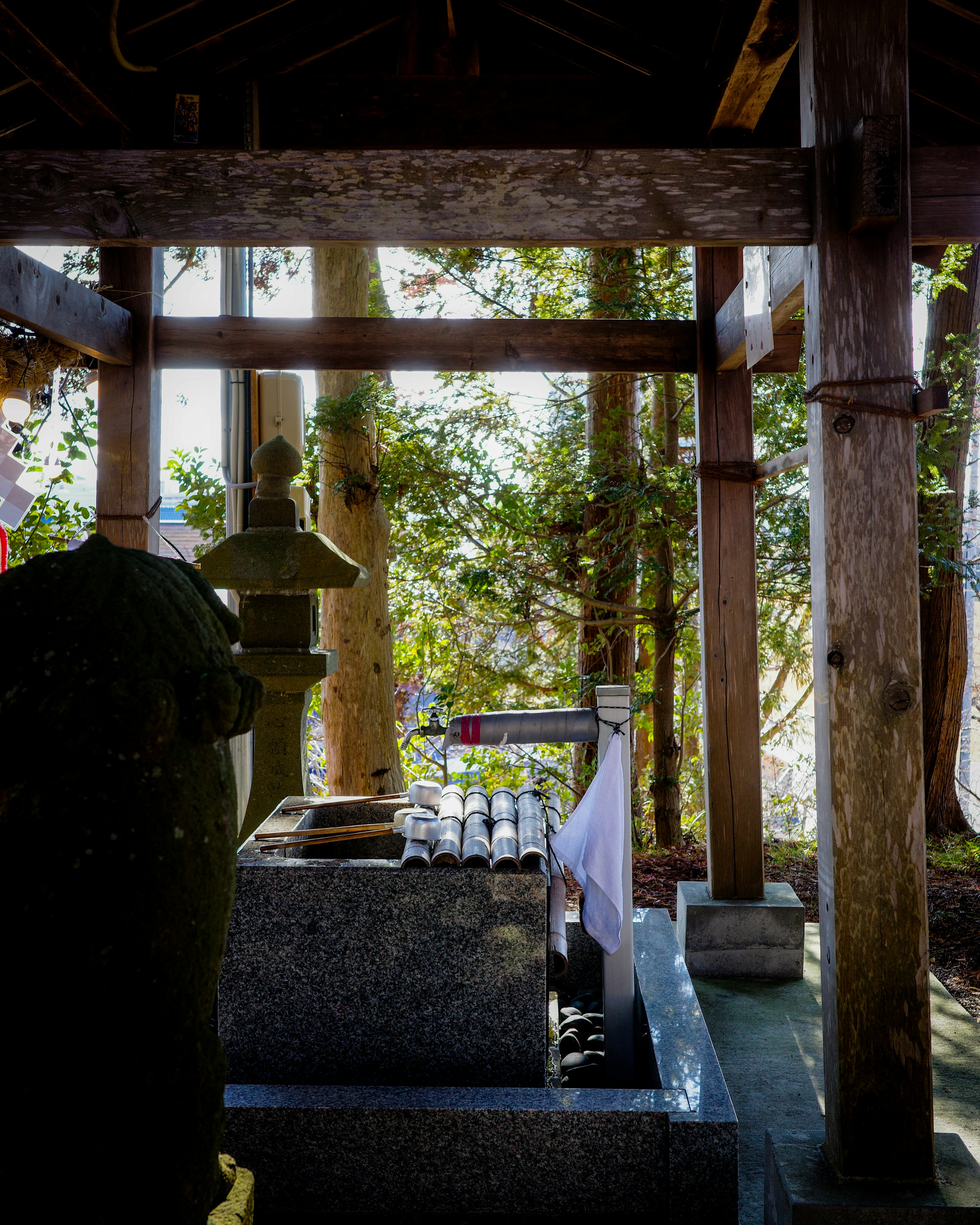 Person drawing water under a wooden structure surrounded by greenery