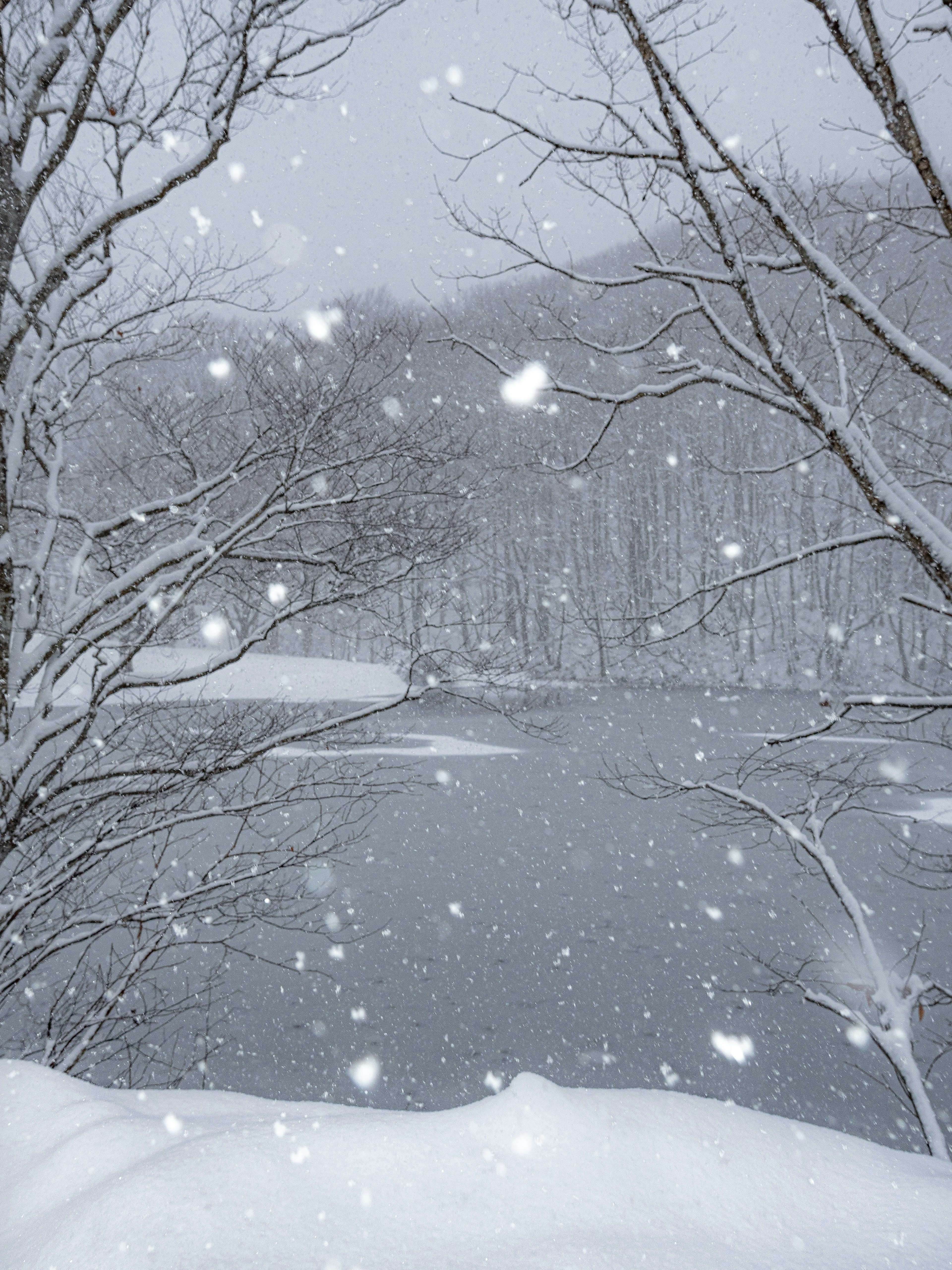 Paesaggio invernale sereno con neve che cade su un lago circondato da alberi spogli