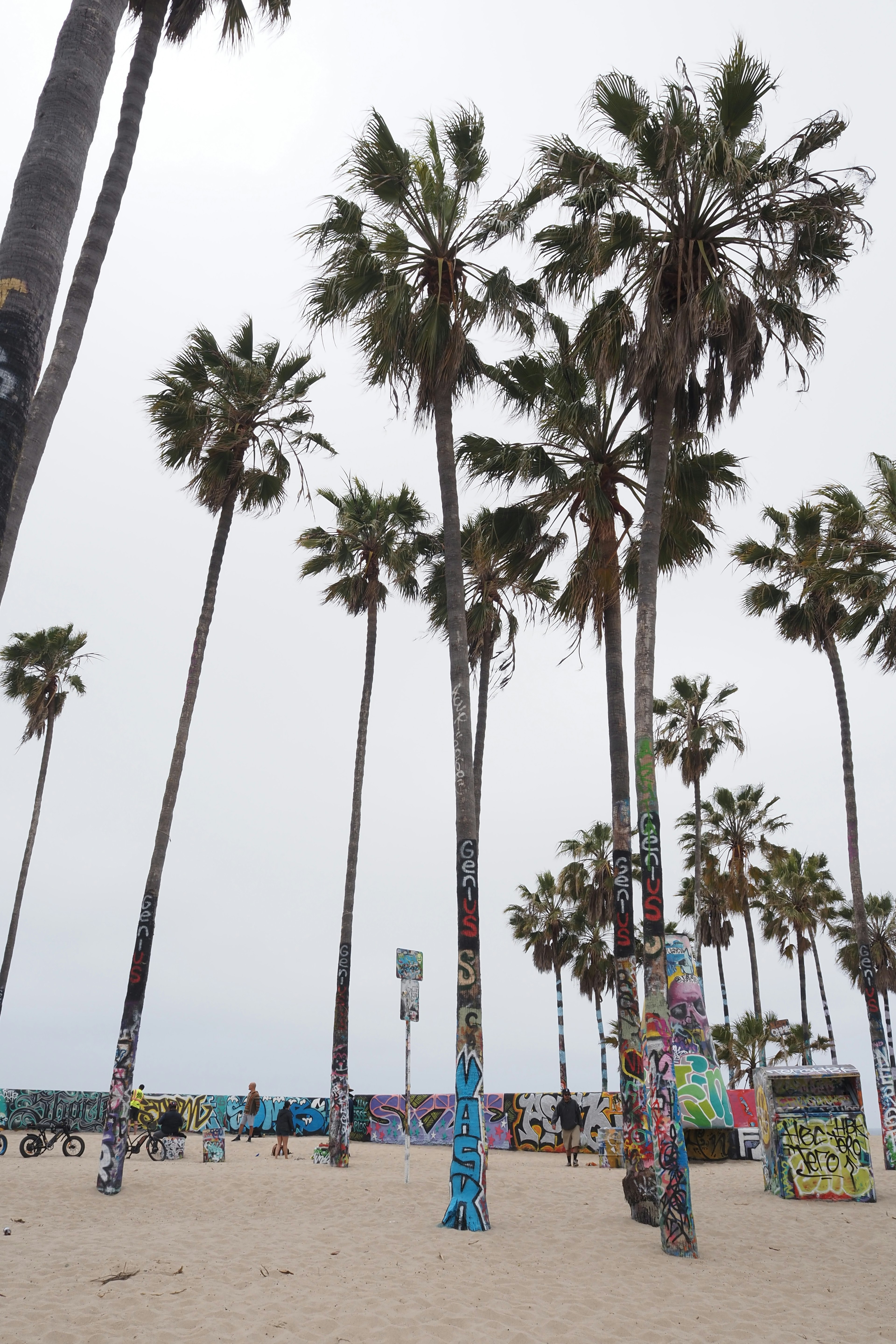 Palm trees and graffiti-covered posts at a beach under a cloudy sky