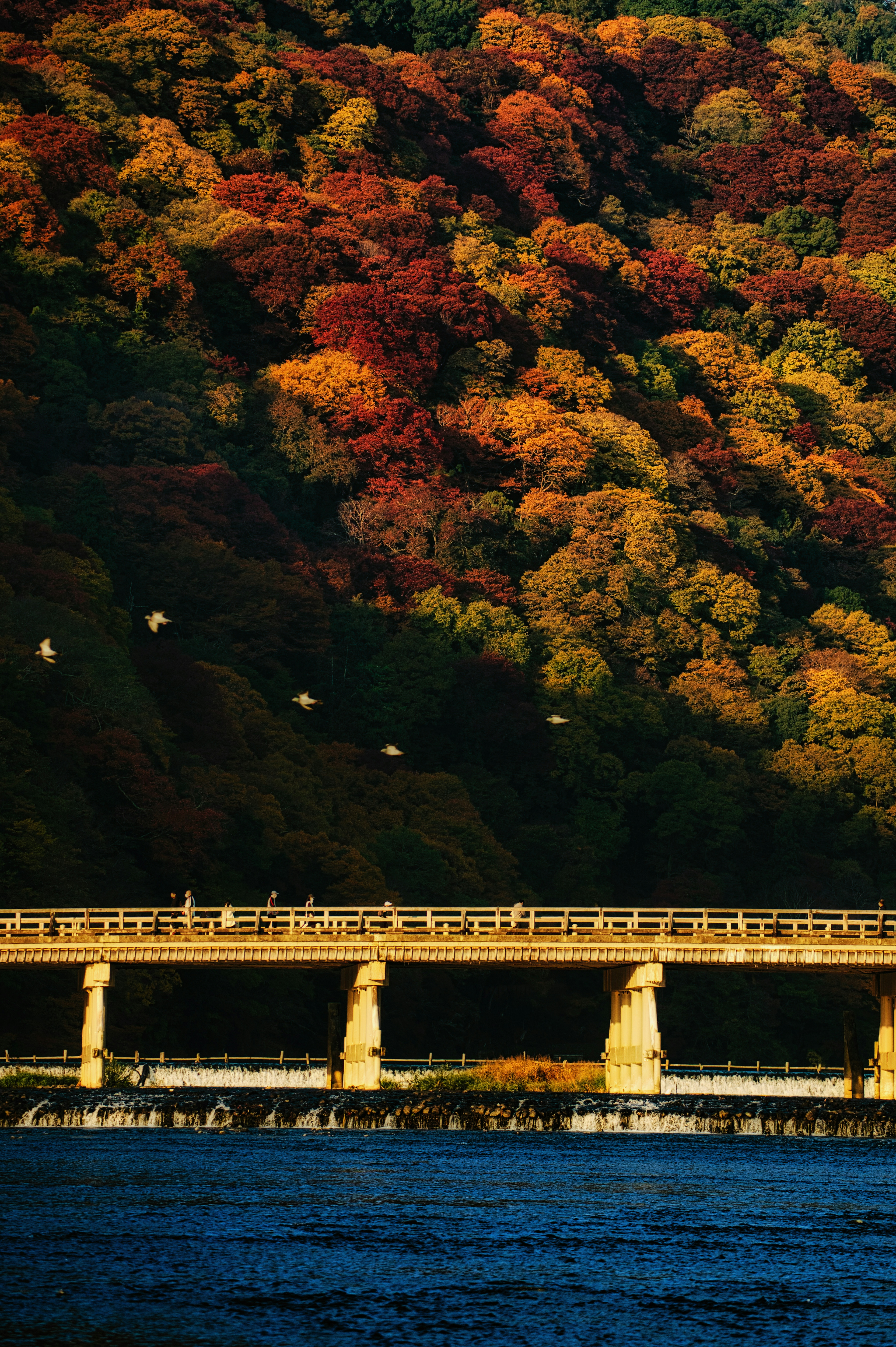 Vista panoramica di un fiume e di un ponte circondato da un fogliame autunnale vibrante