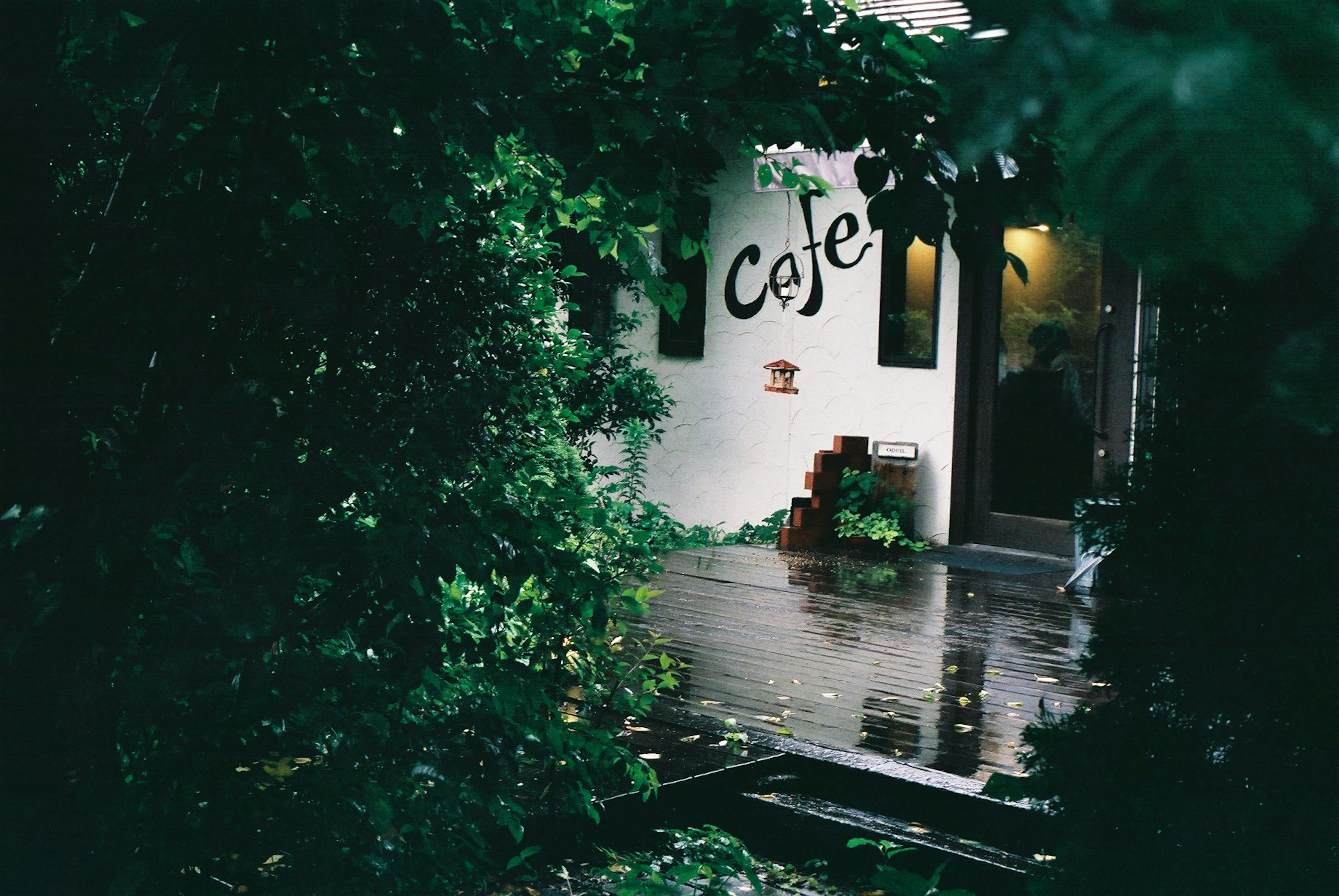 Entrée d'un café entouré de verdure avec une terrasse en bois et un sol mouillé