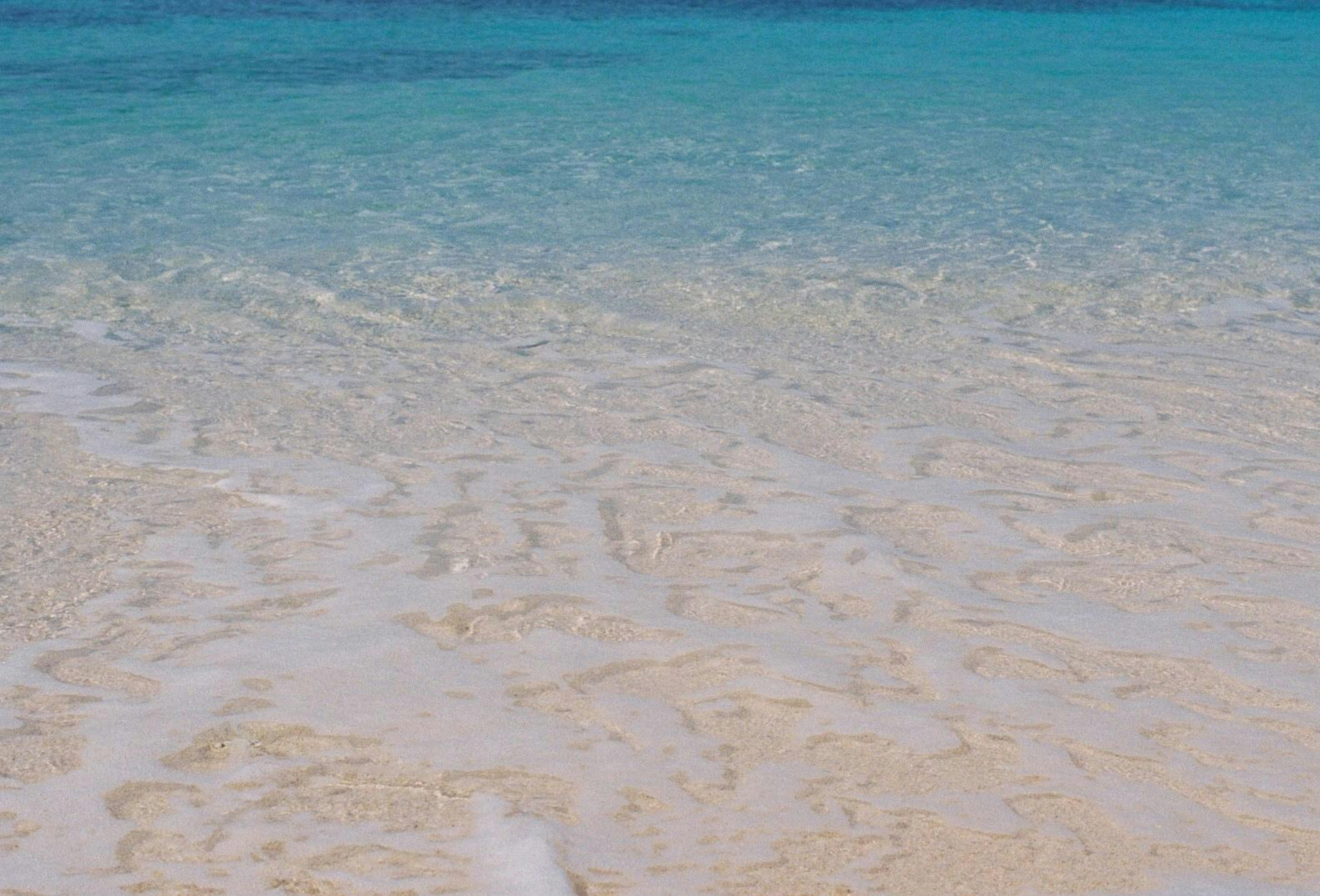 透明な海水が広がるビーチの風景