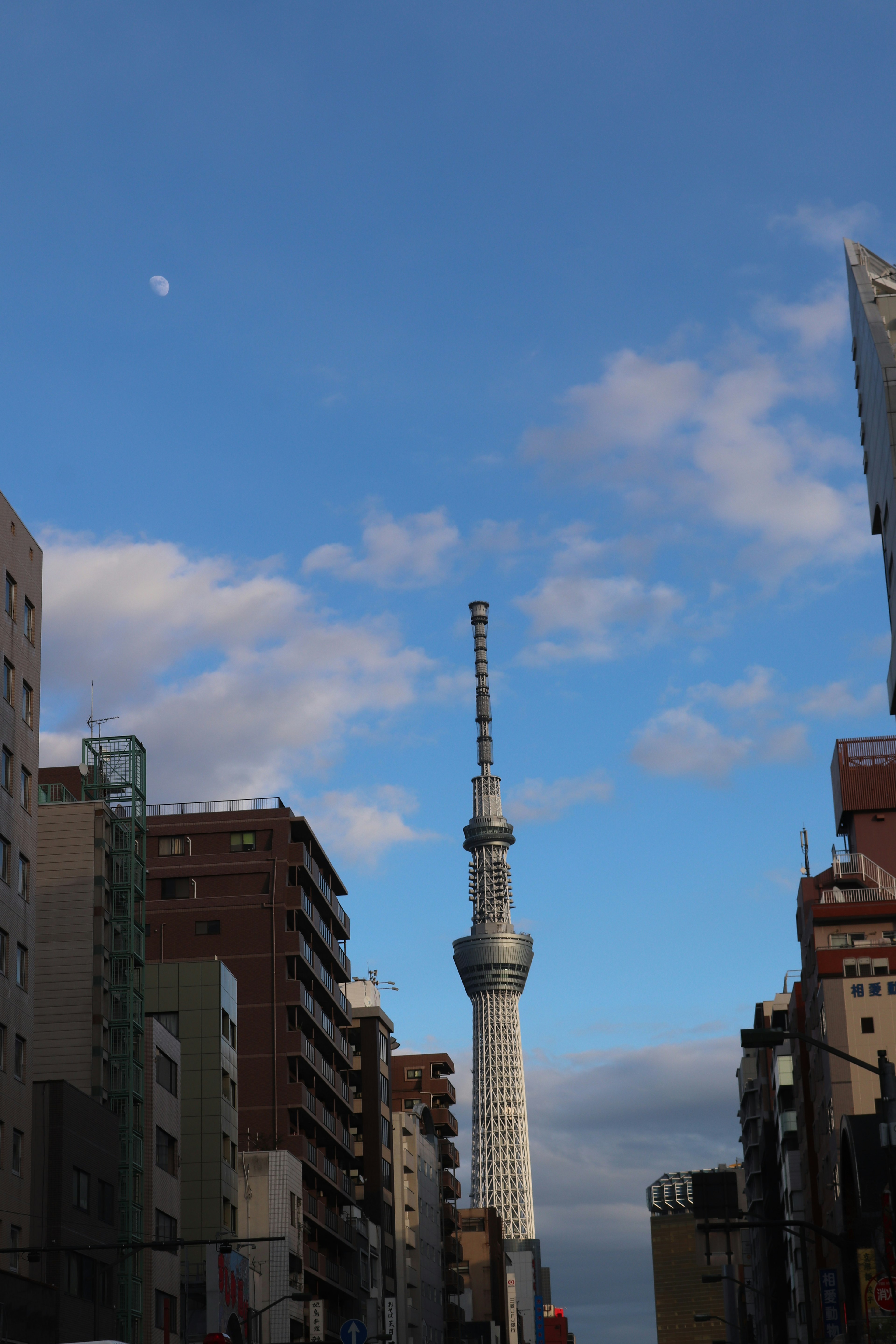 東京スカイツリーが青空の下に立っている画像