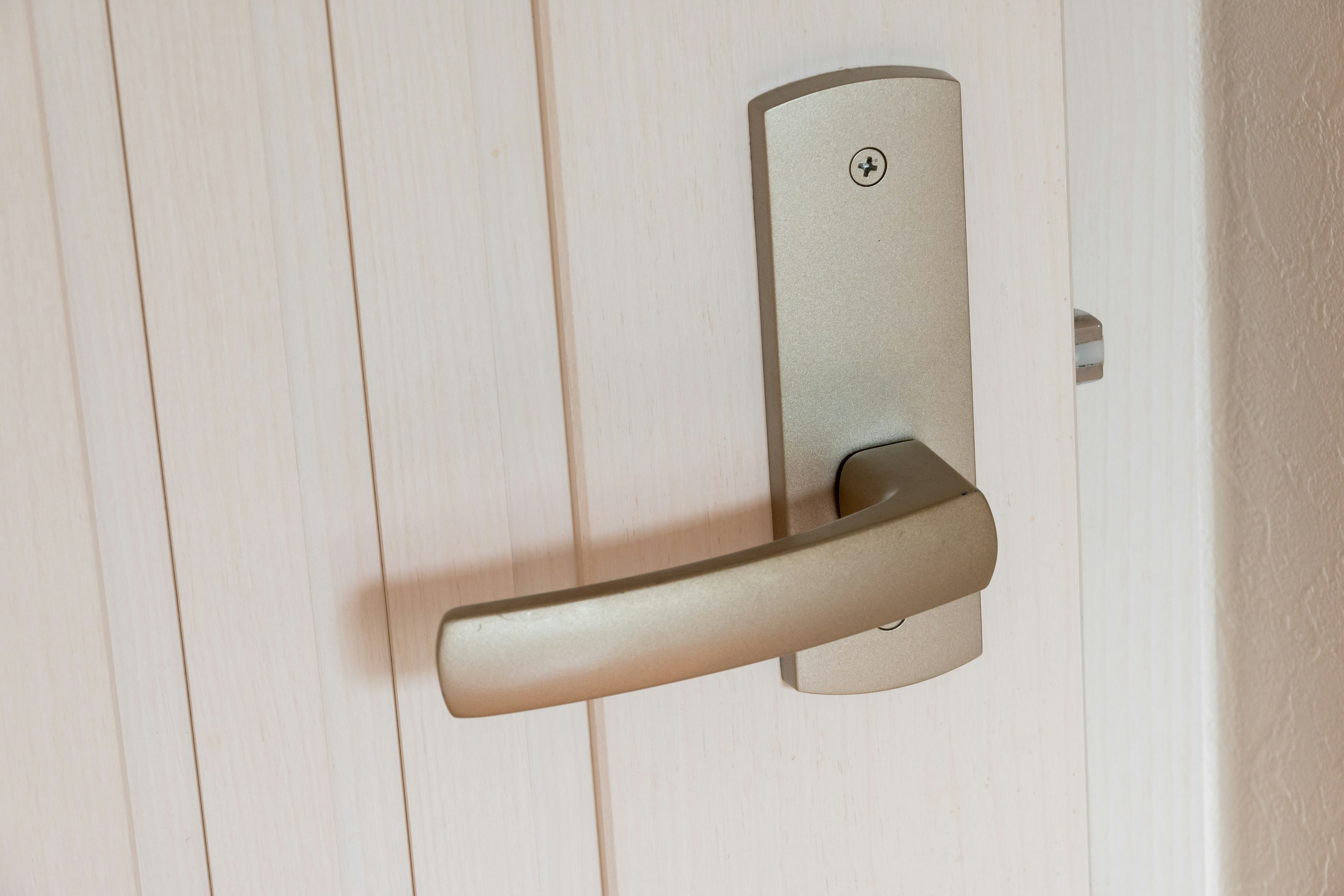 Door handle and texture of a white door