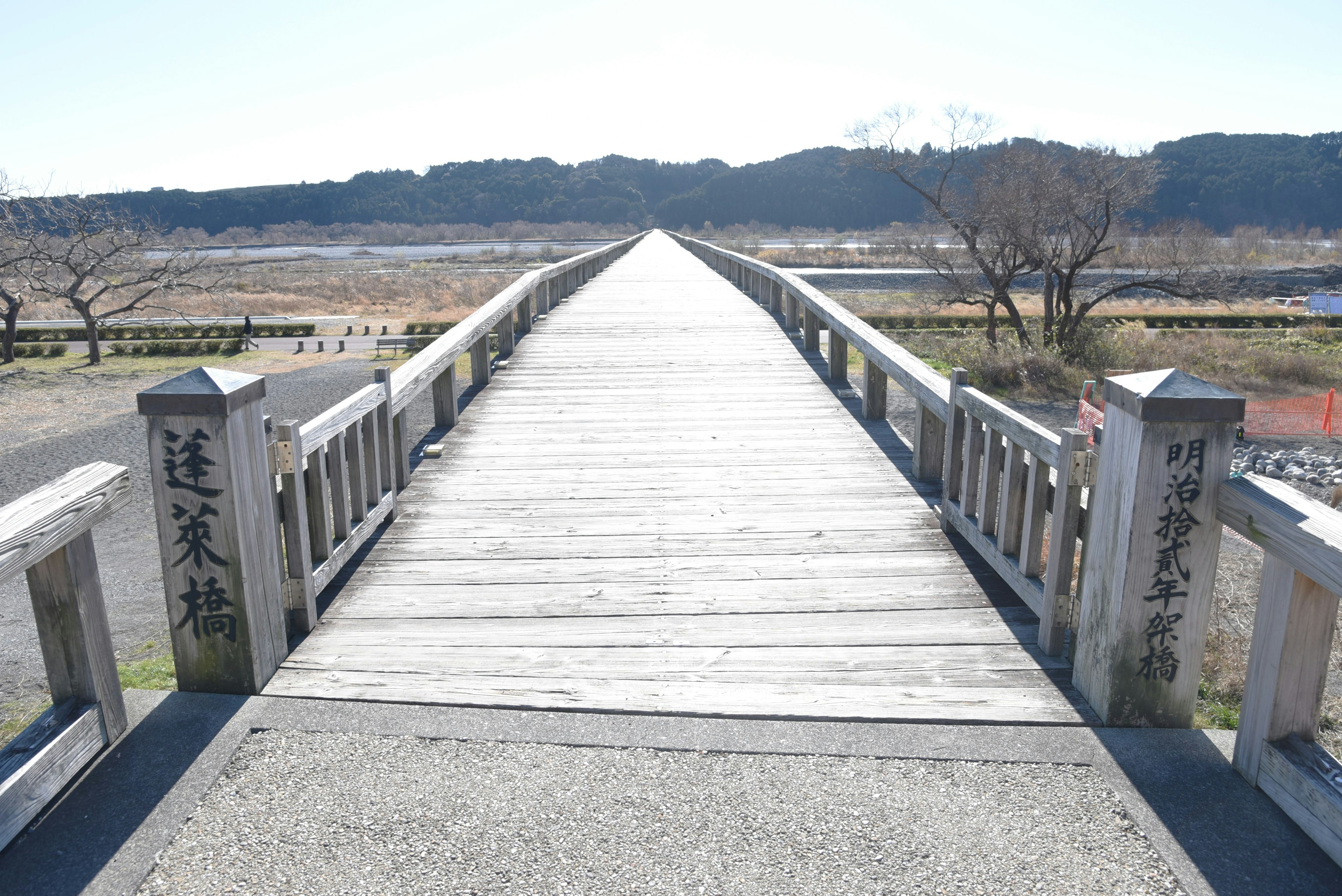 Wooden bridge extending into the distance surrounded by nature