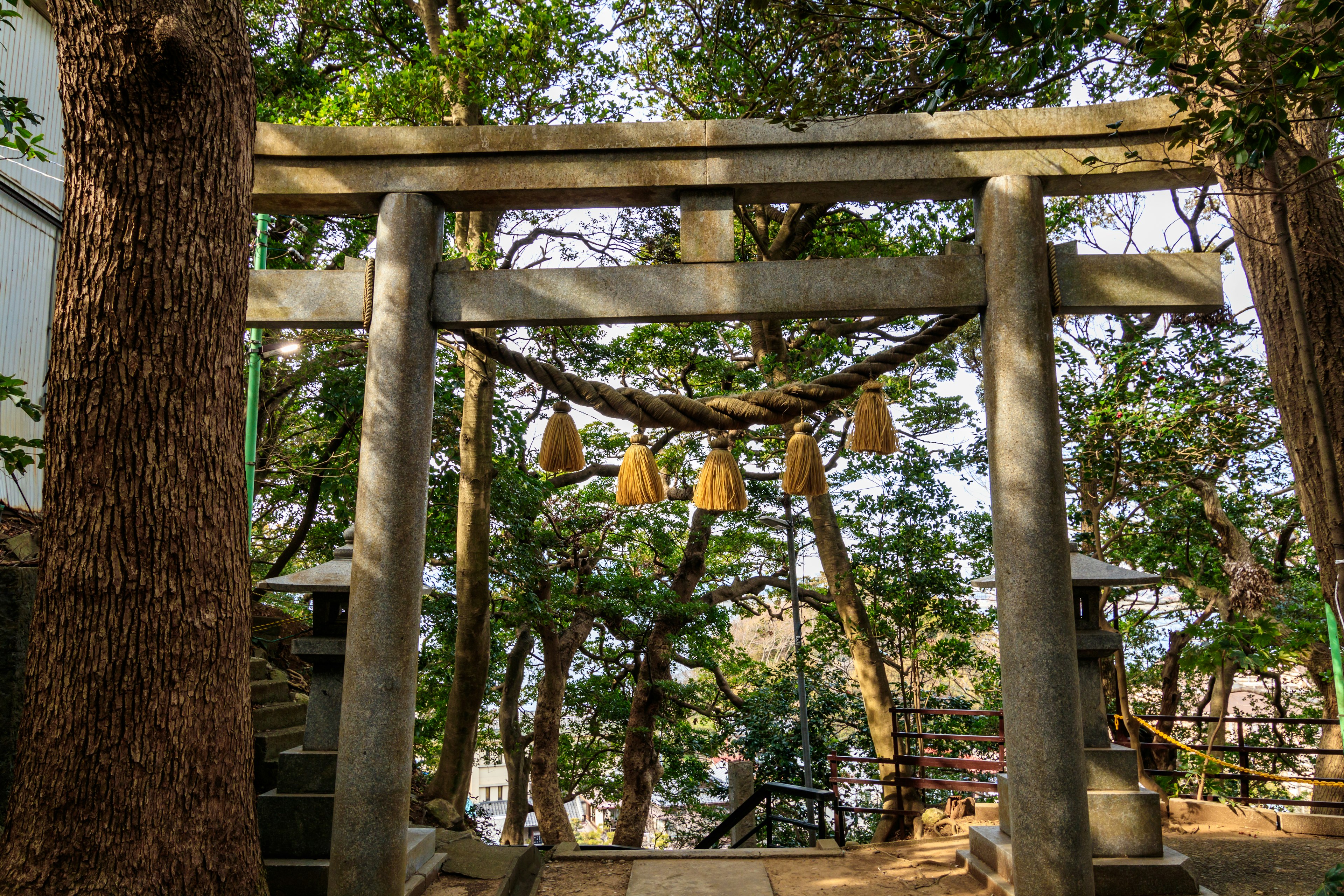 Torii-Tor umgeben von üppigen grünen Bäumen mit hängenden Glocken