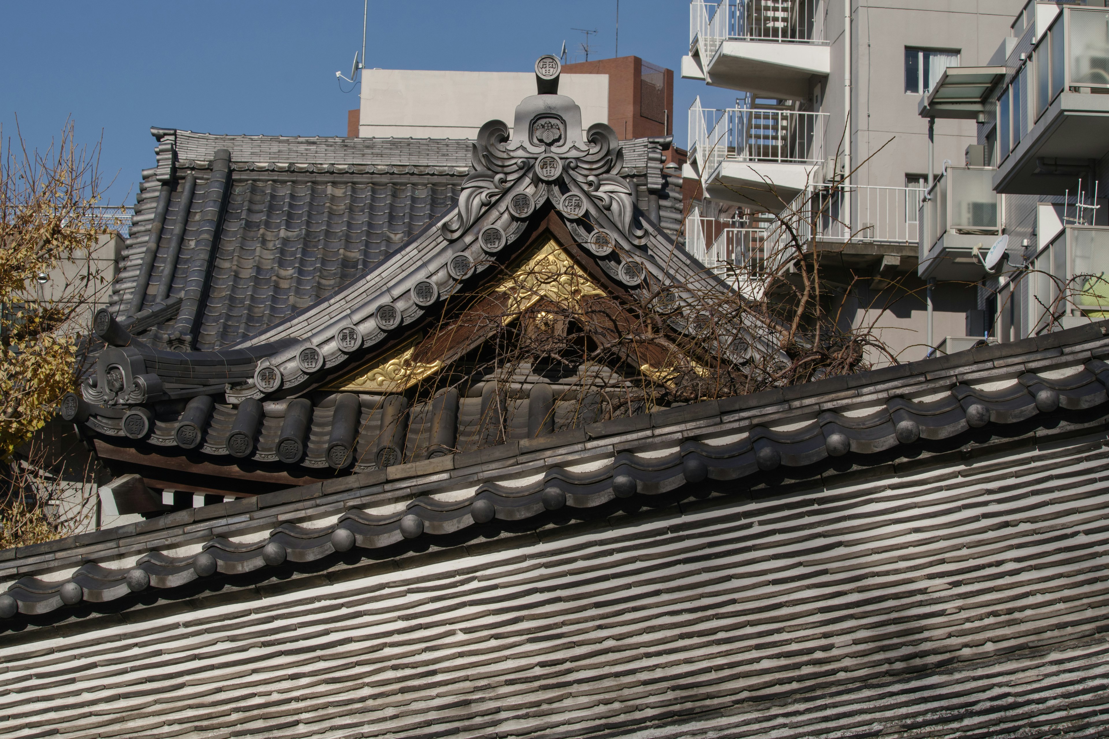 전통 일본 사원 지붕이 보이는 도시 경관