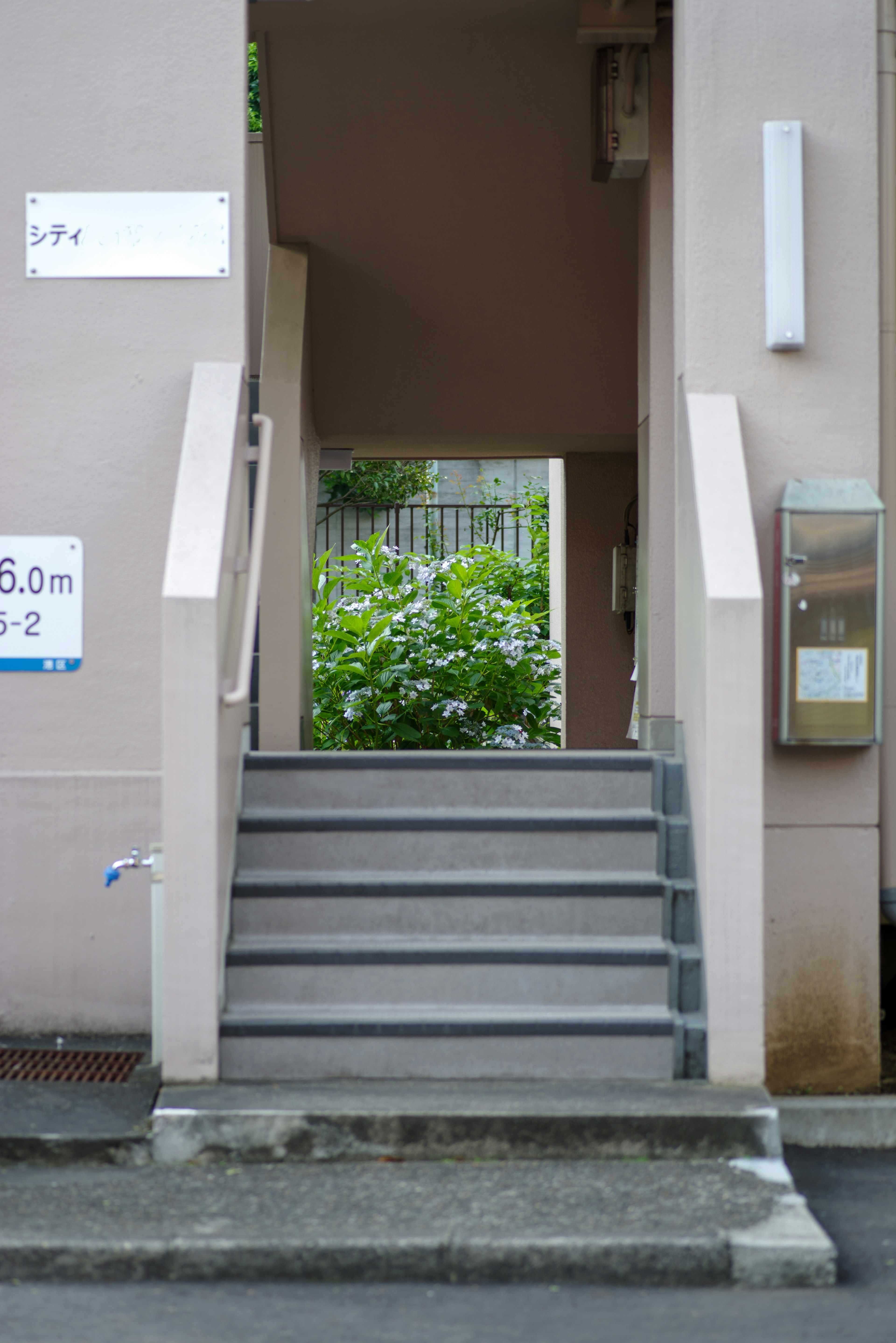 階段の前にあるエントランスと緑の植物