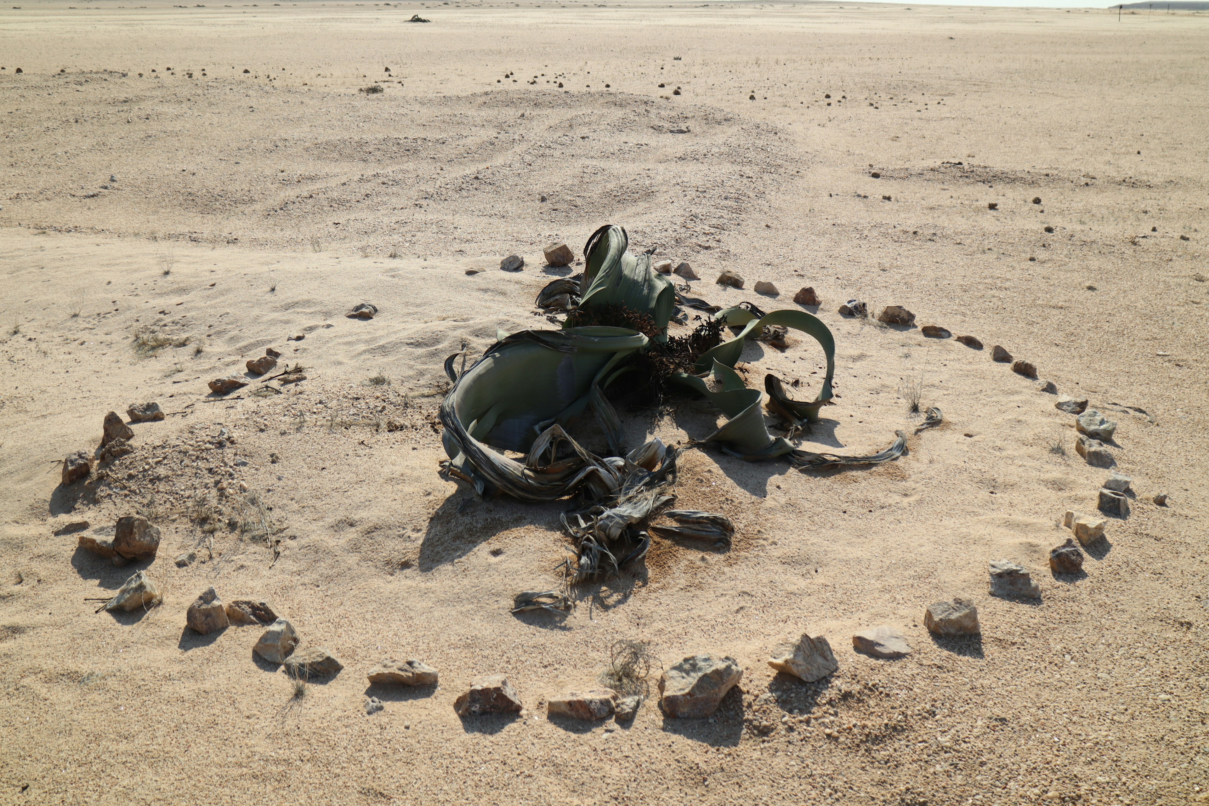 Metal wreckage surrounded by a circle of stones in a barren desert