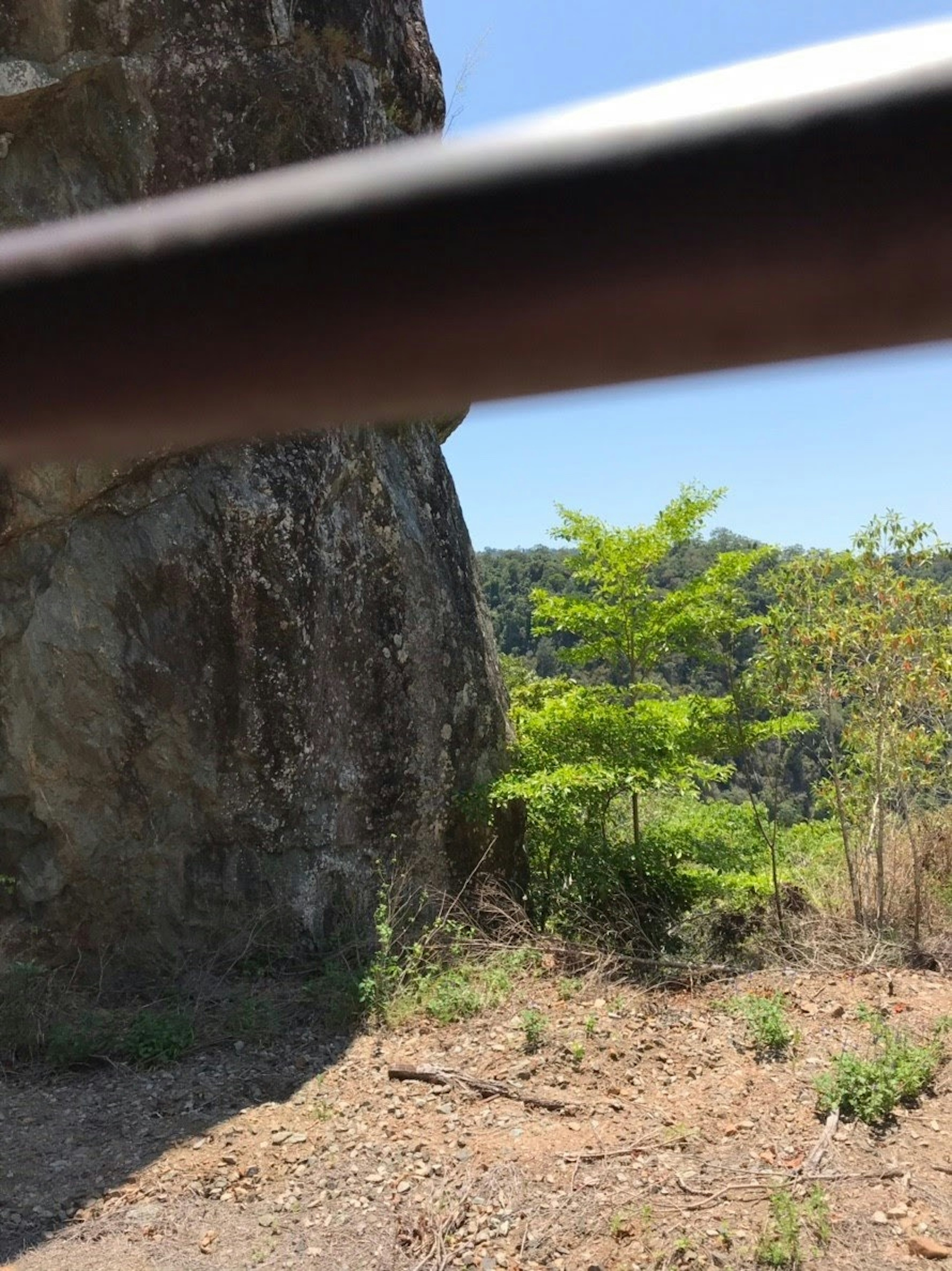 Green trees near a rock with blue sky