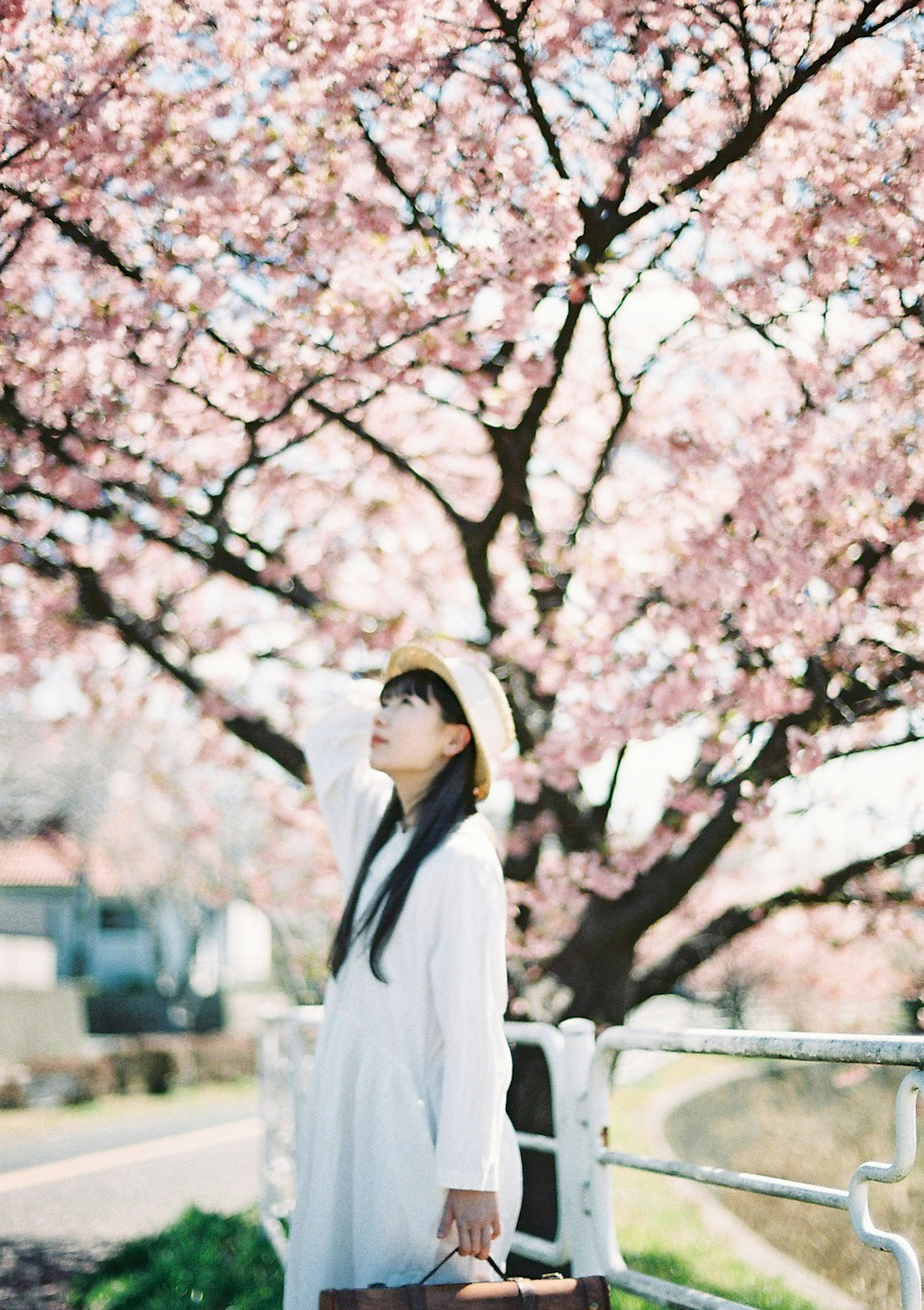 Femme en robe blanche se tenant sous un cerisier en fleurs