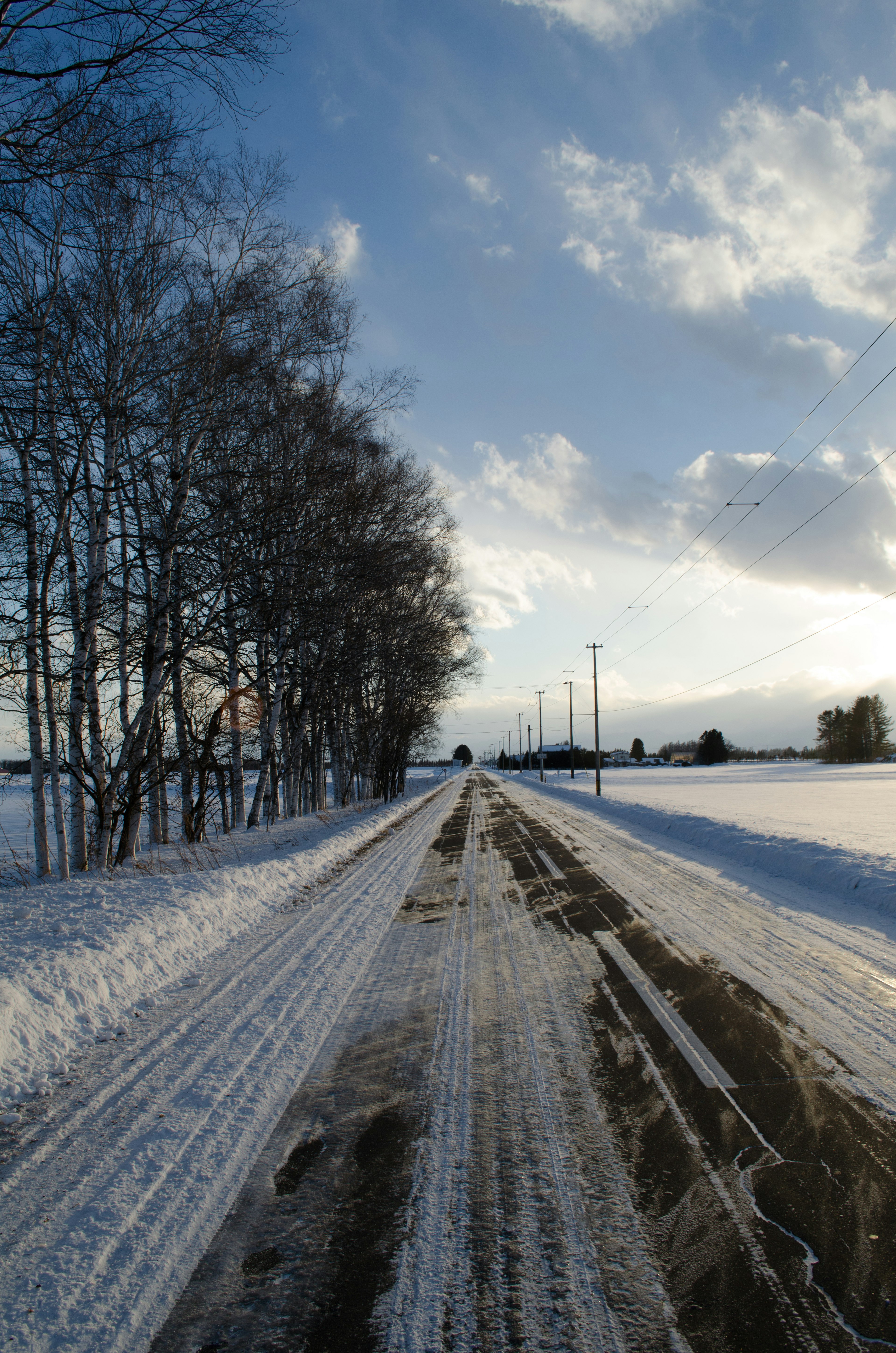 Schneebedeckte Straße mit Bäumen unter einem bewölkten Himmel