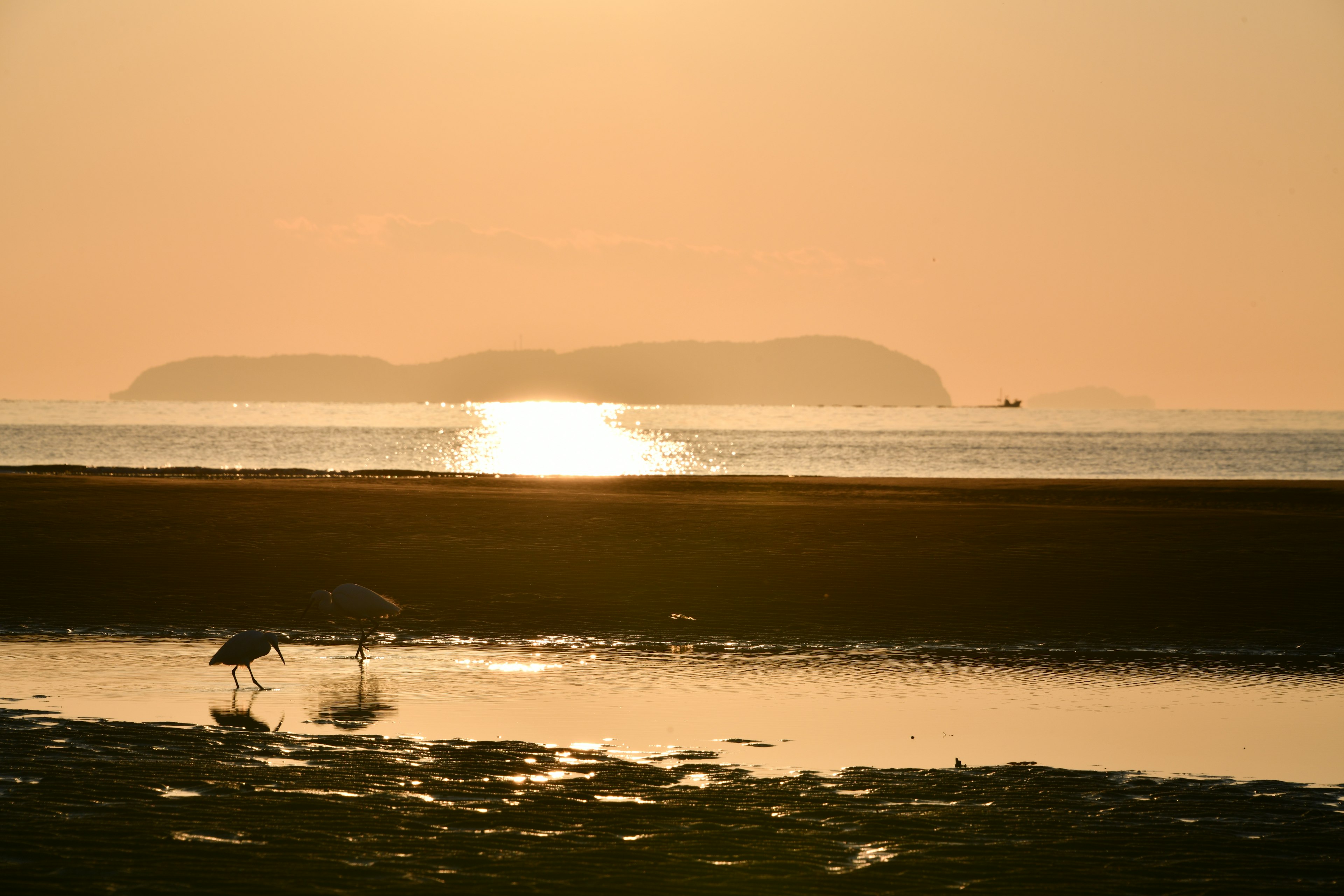 静かな海と島のシルエットが見える夕暮れの風景