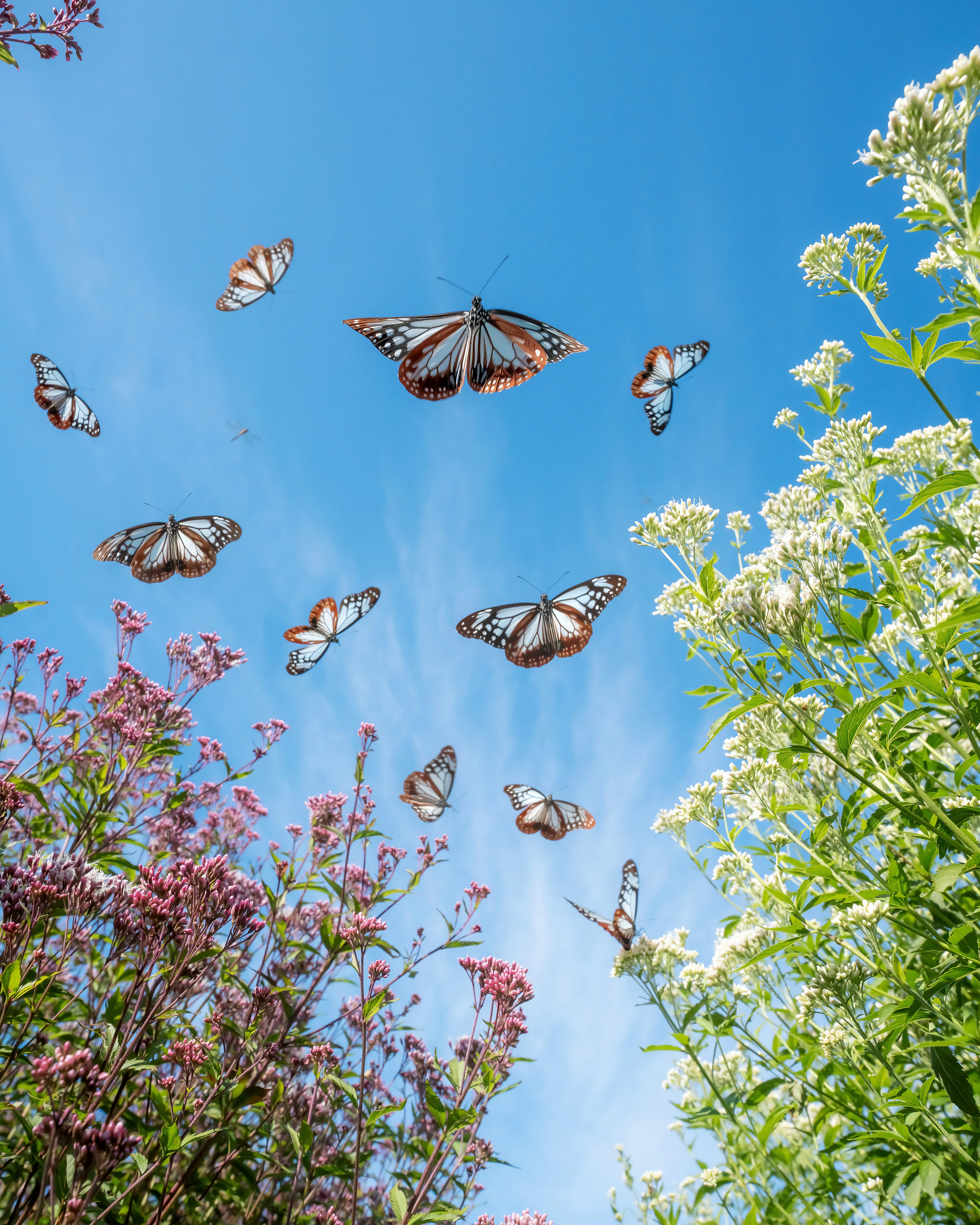 Mariposas monarca volando bajo un cielo azul rodeadas de flores coloridas