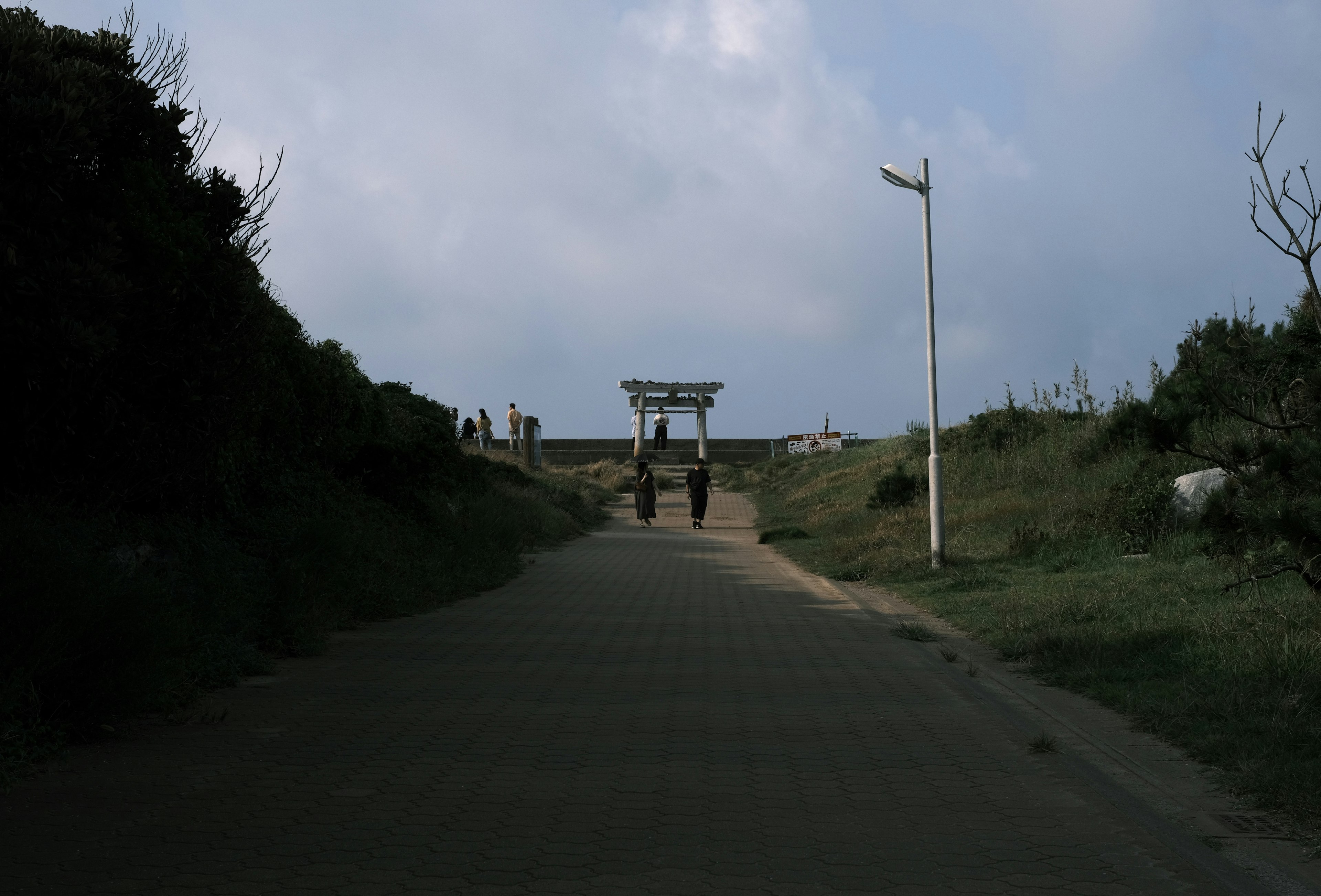 道の先に鳥居が見える風景。曇り空と緑の草地が特徴的