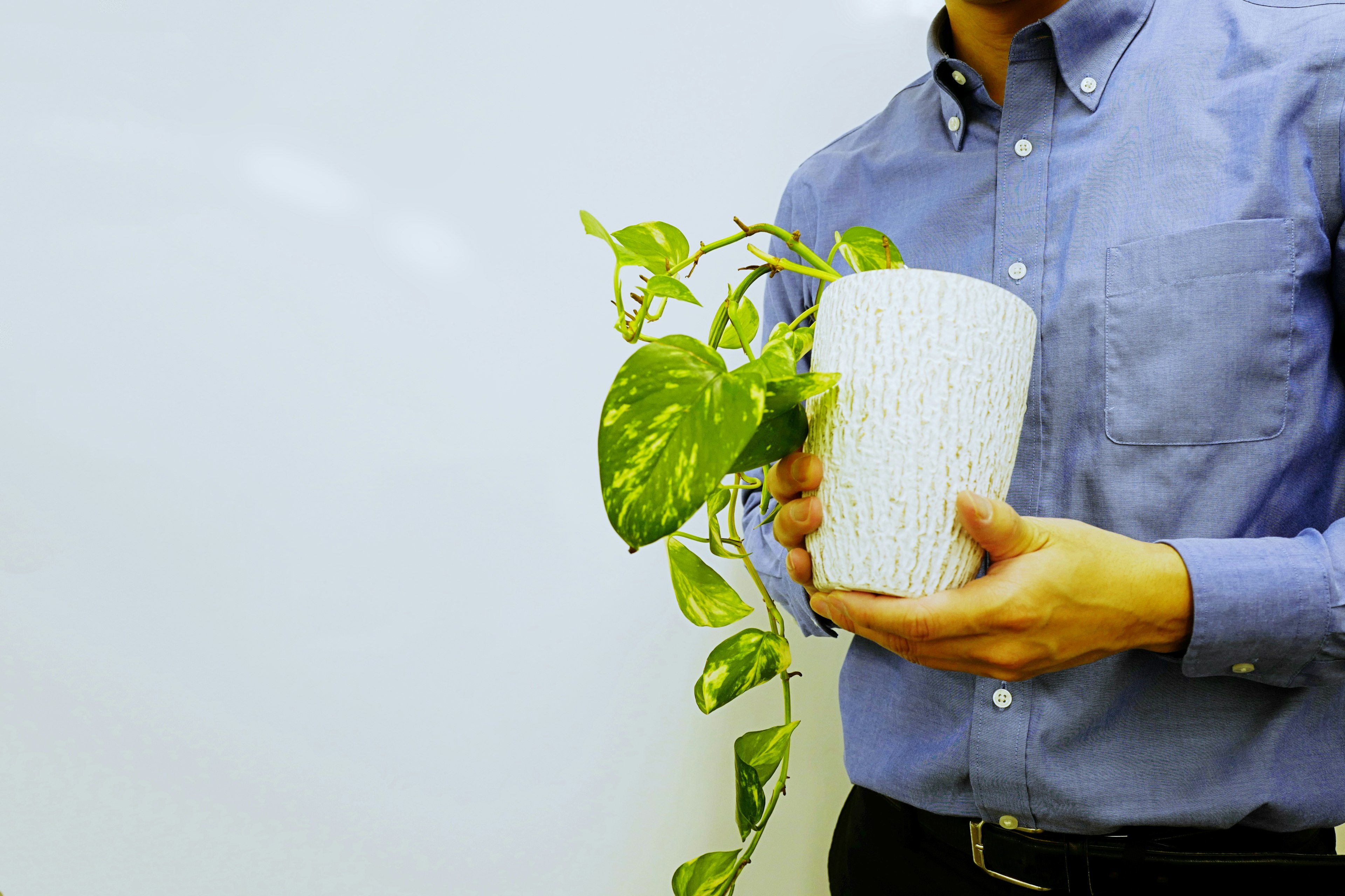 Man holding a potted plant in front of a white background