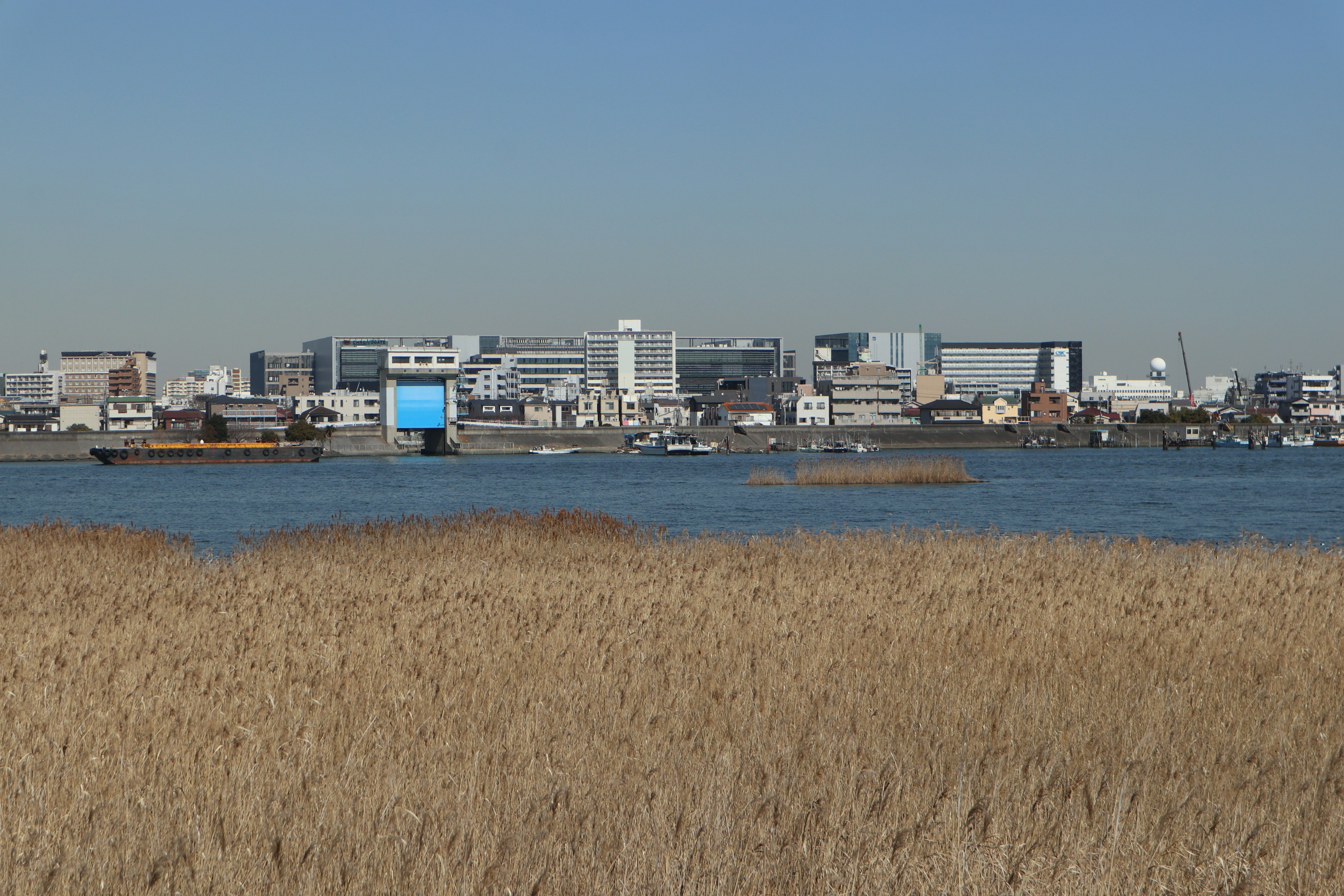 Paysage urbain avec eau calme et prairie sous un ciel bleu