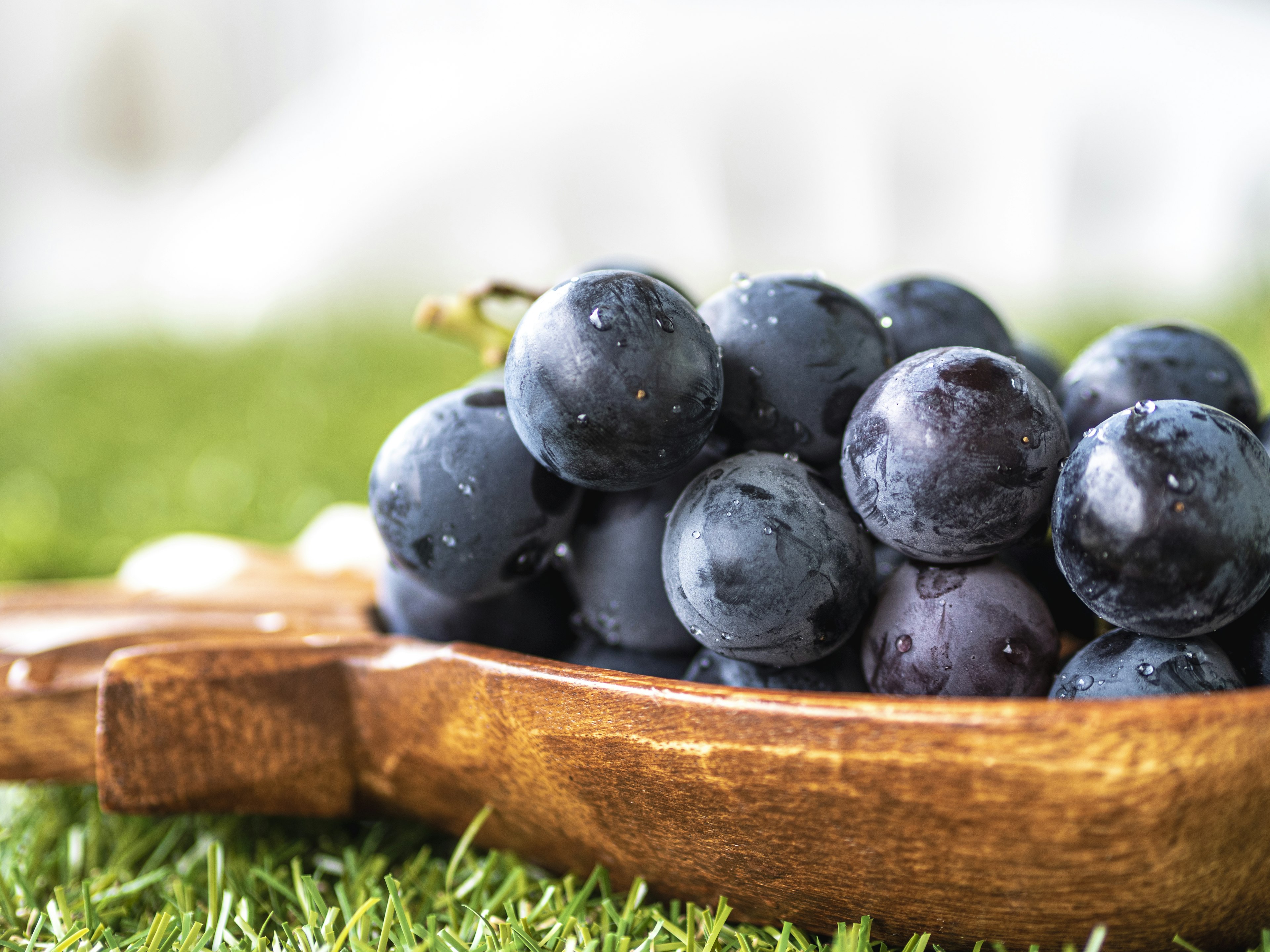 Fresh black grapes in a wooden spoon on green grass background