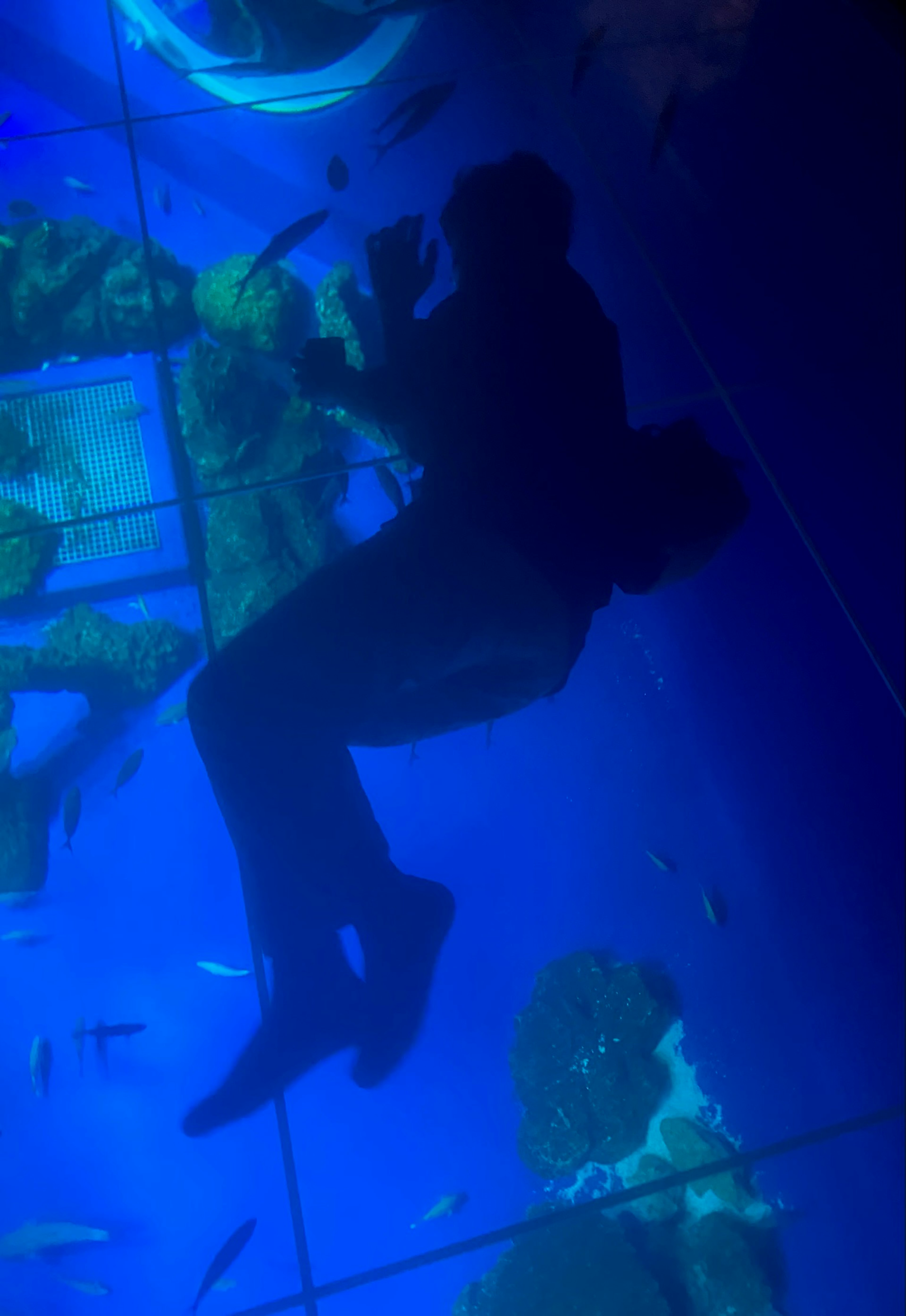 Silueta de una persona flotando en agua azul