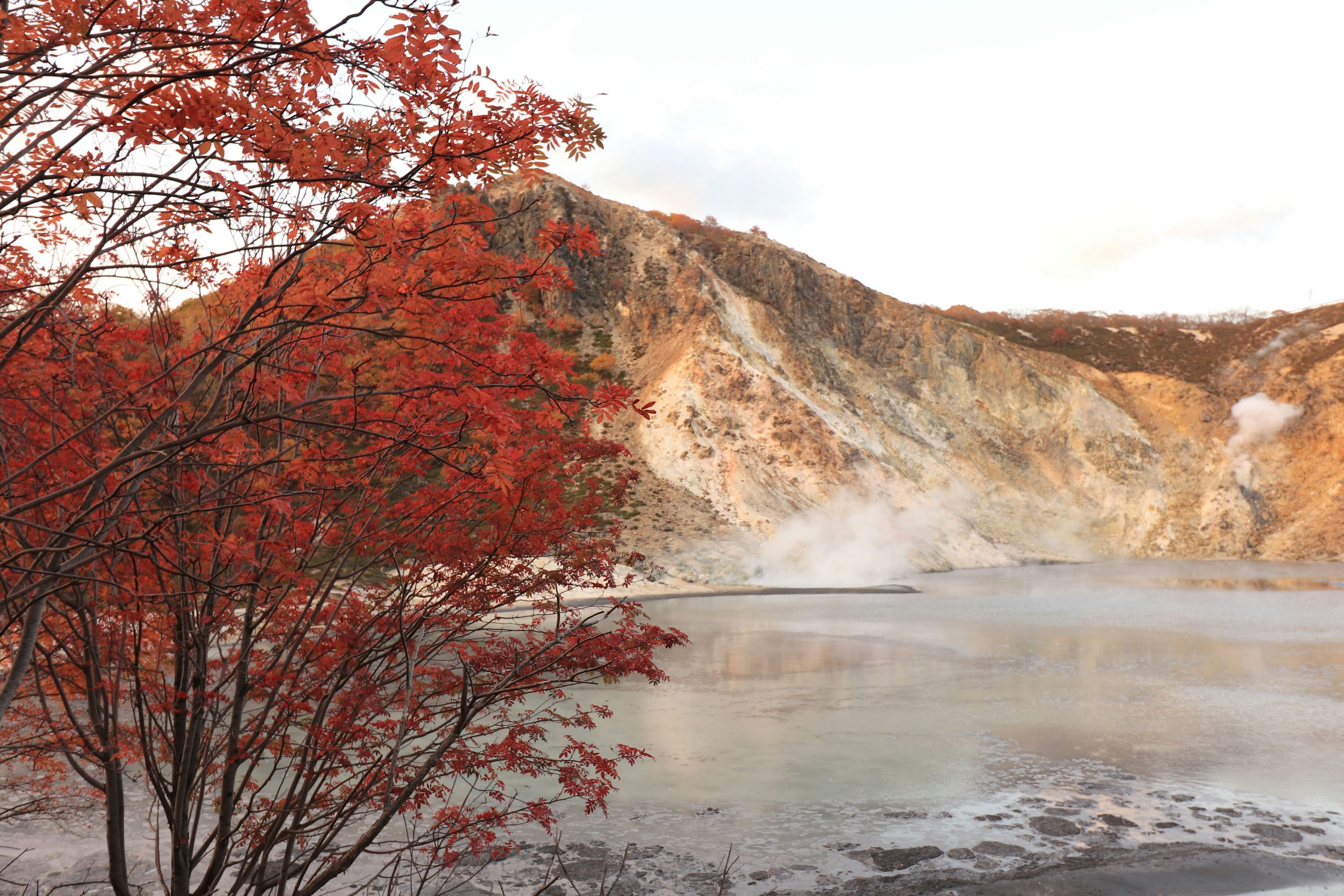 Vue panoramique d'une montagne avec des sources chaudes et un arbre aux feuilles rouges