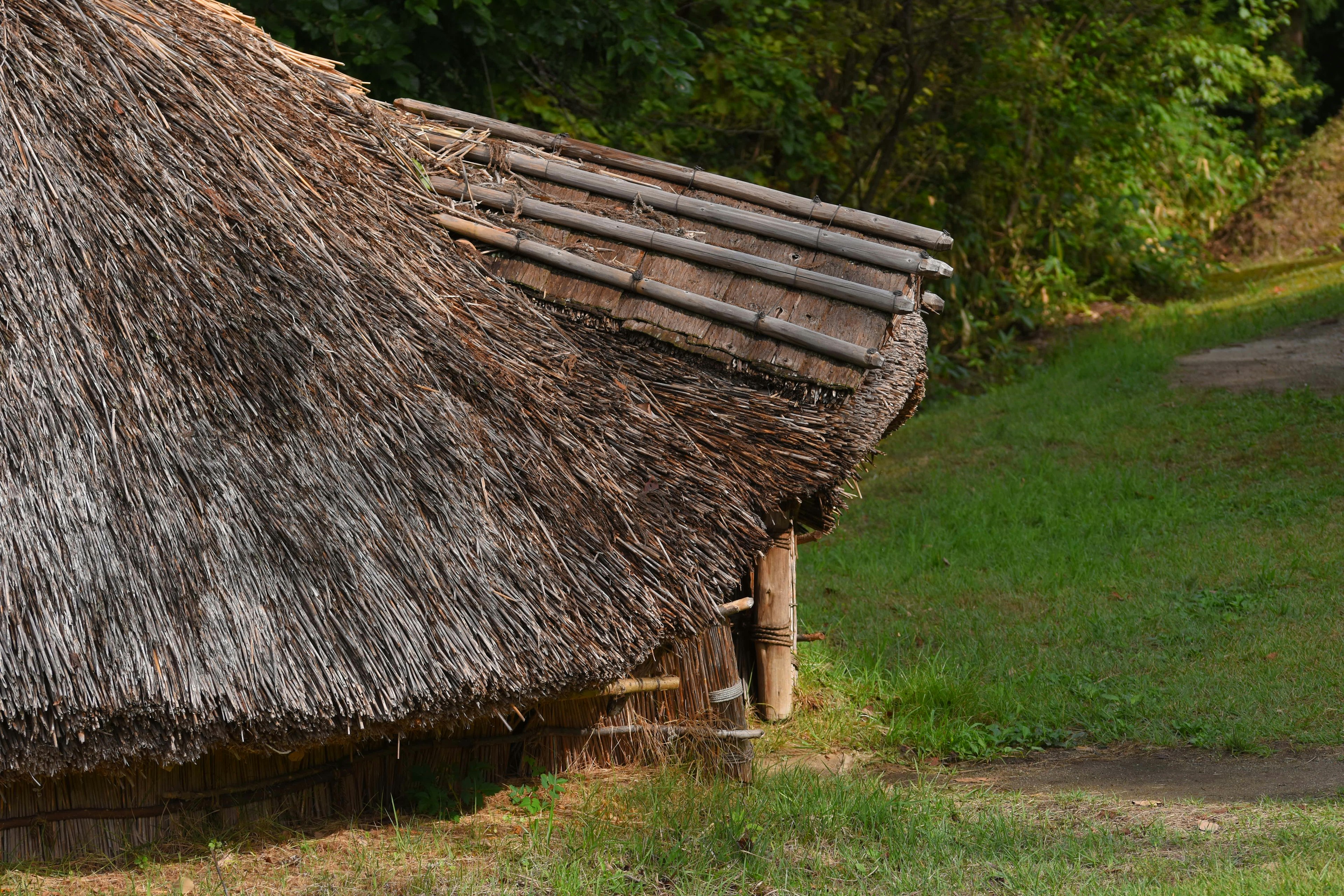 Thatched roof hut with wooden structure and green grass