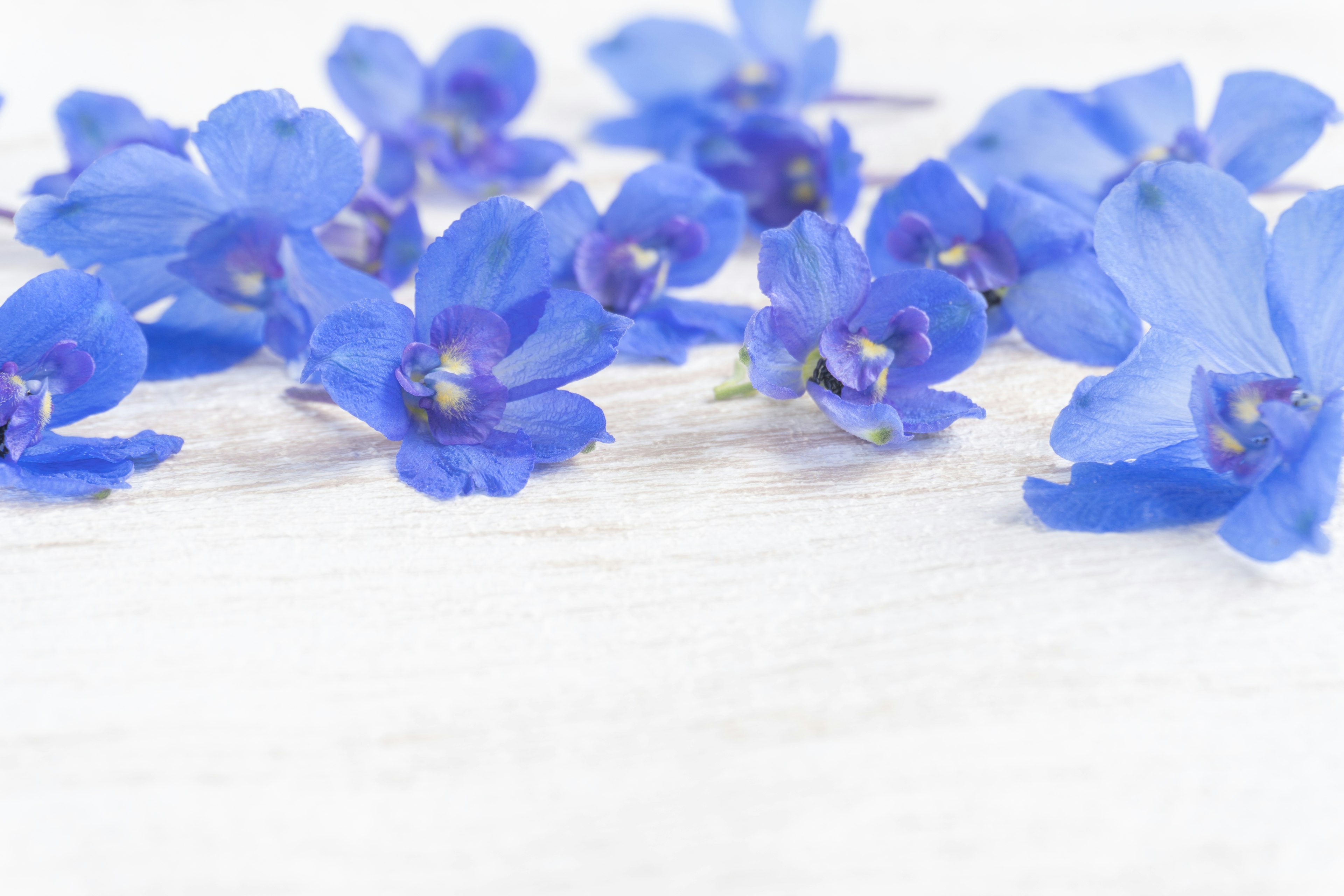 A collection of blue flowers scattered on a light wooden surface