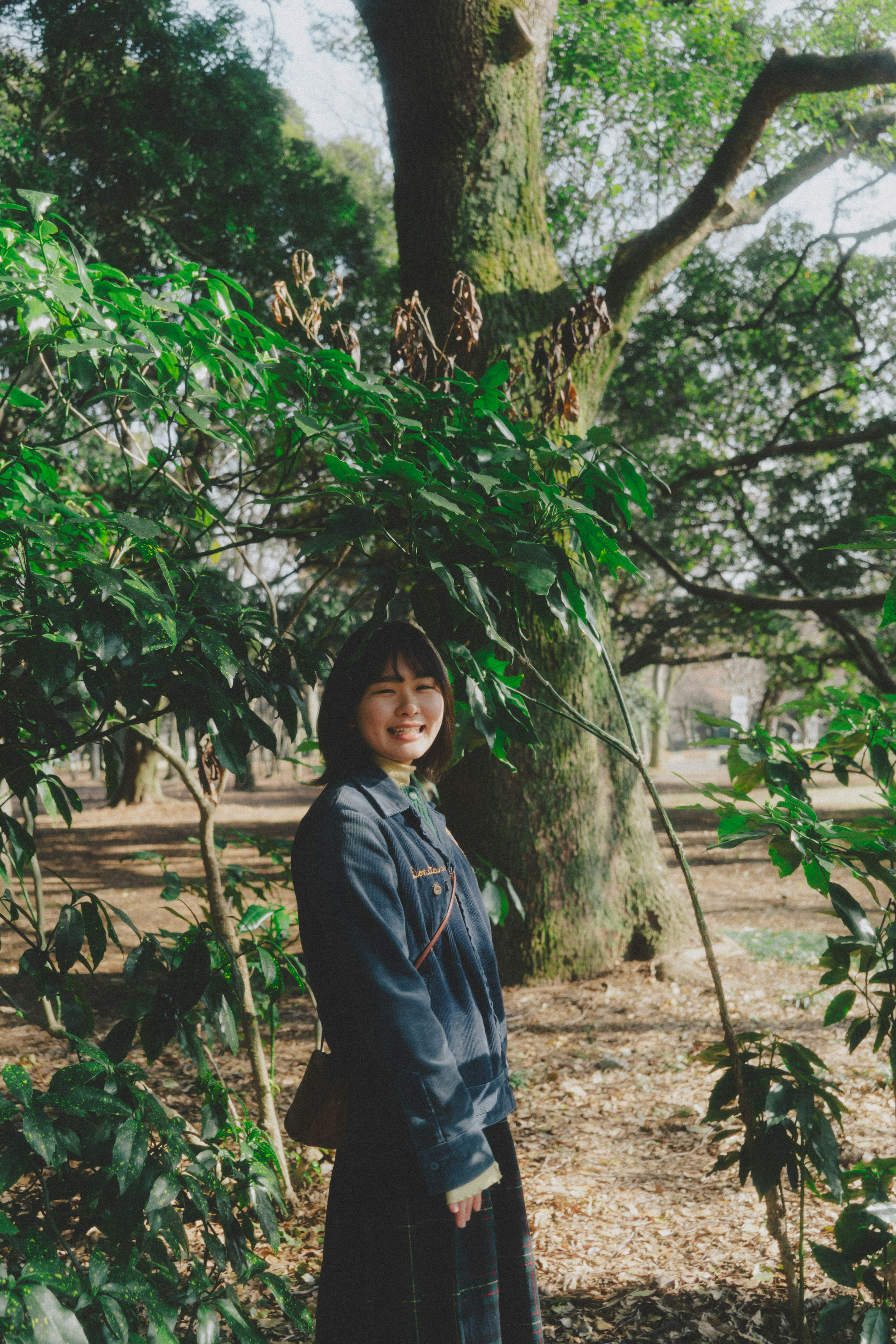 公園の木の前に立つ女性のポートレート緑の葉に囲まれている