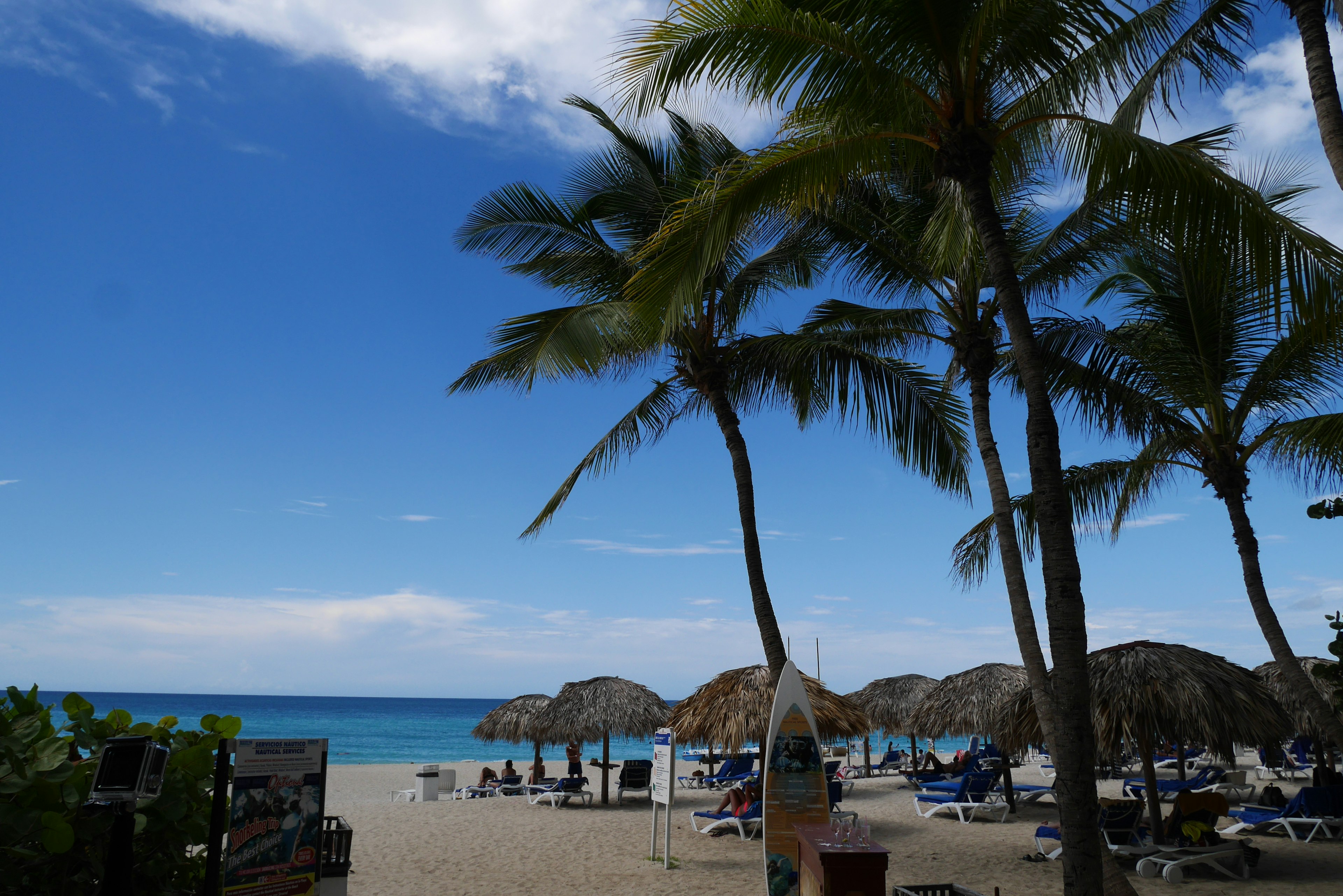 Escena de playa con palmeras, océano azul y arena